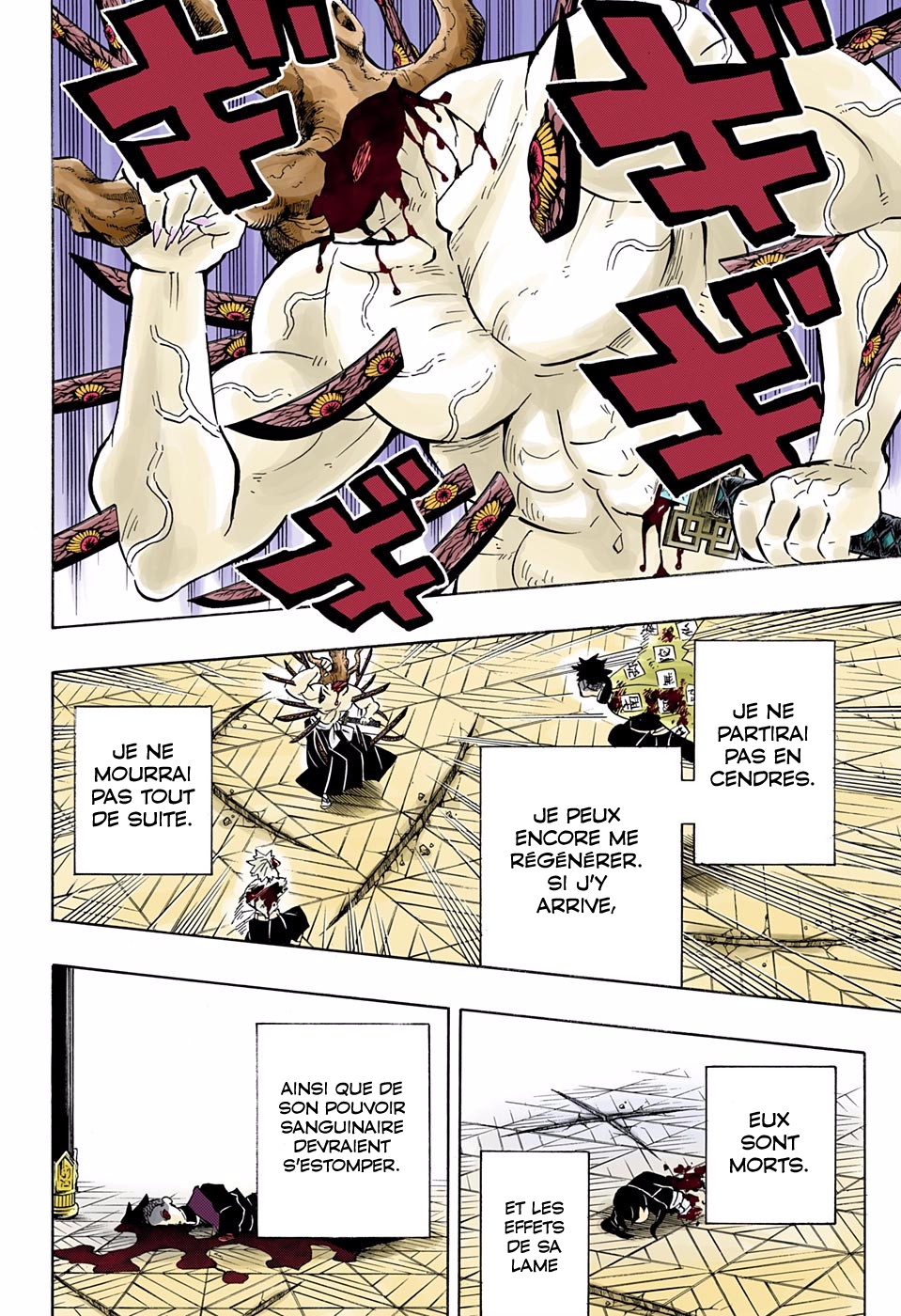 Read Kimetsu No Yaiba vf Manga Online