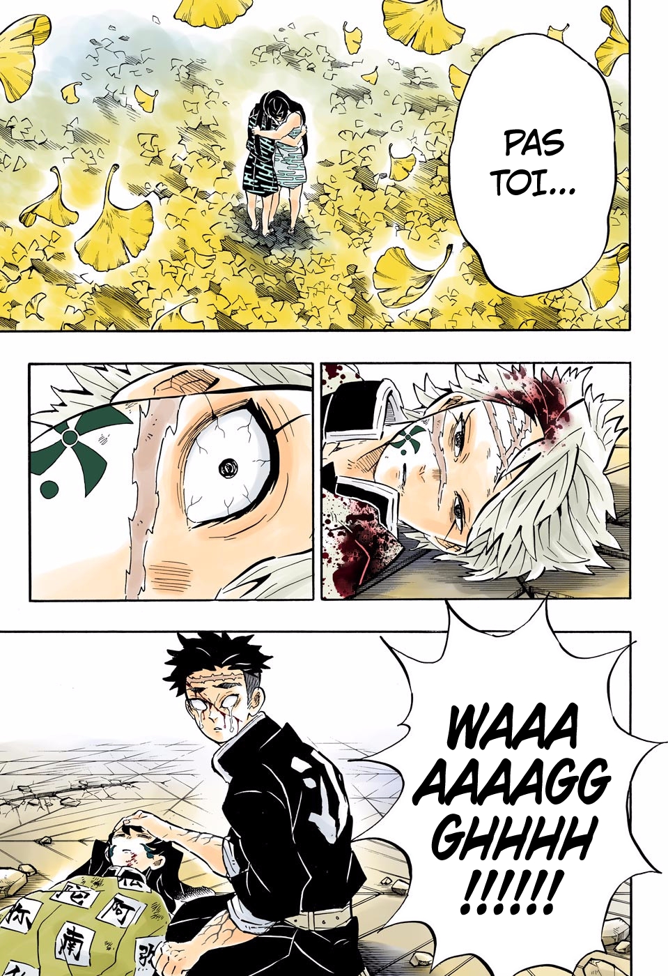 Read Kimetsu No Yaiba vf Manga Online