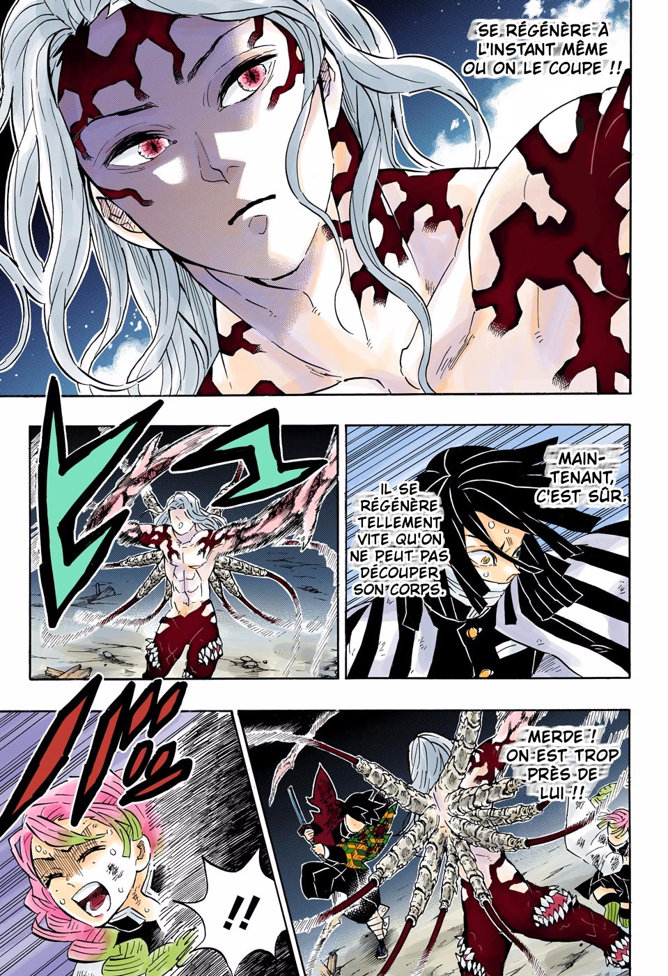 Read Kimetsu No Yaiba vf Manga Online