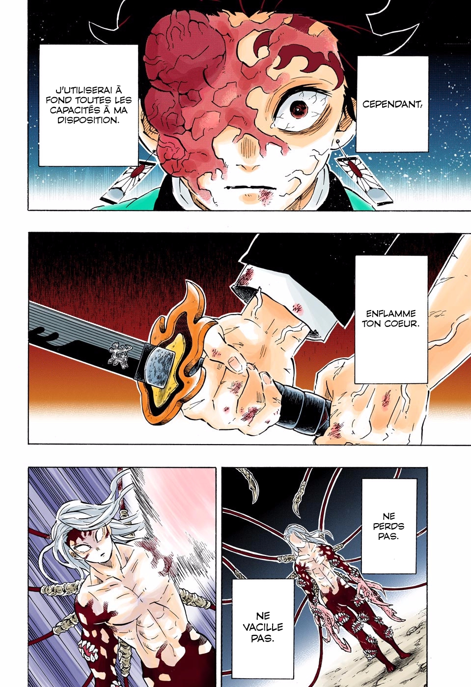 Read Kimetsu No Yaiba vf Manga Online