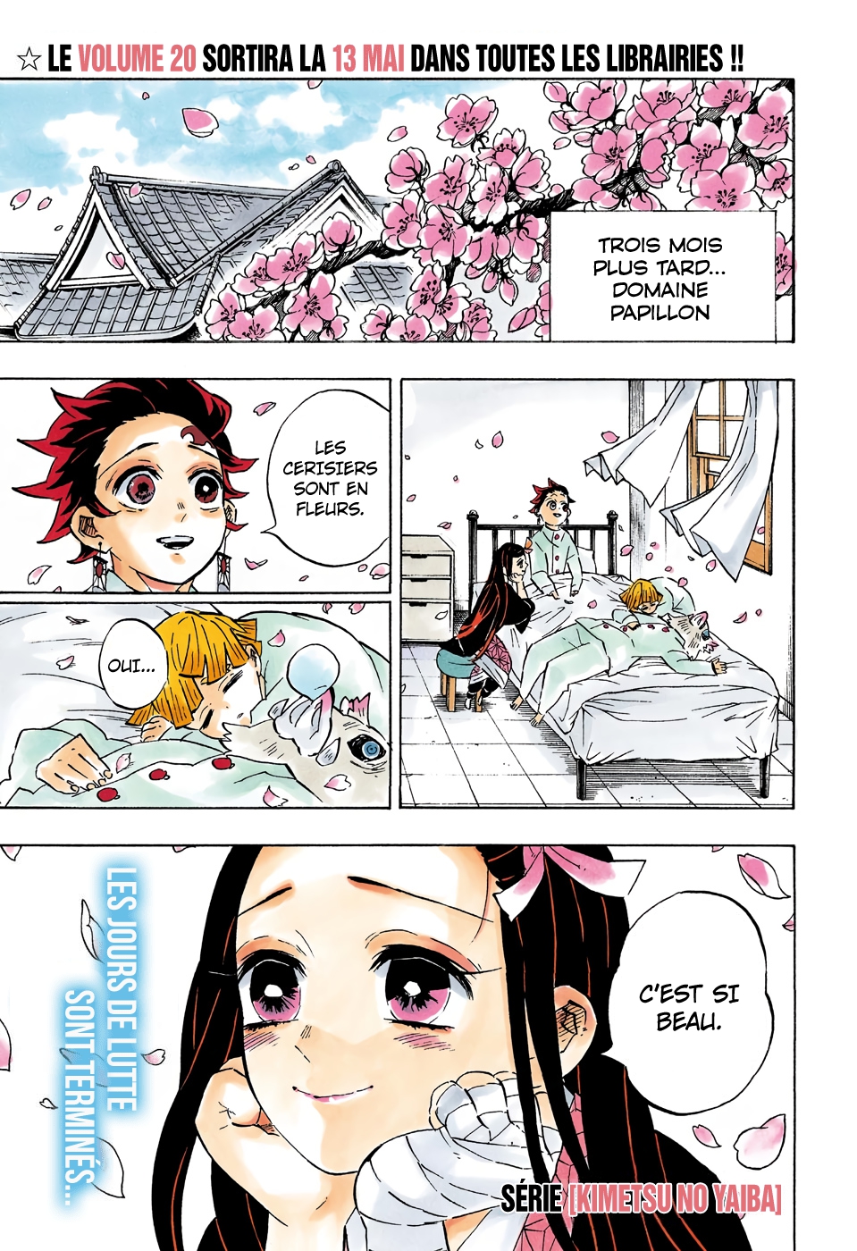Read Kimetsu No Yaiba vf Manga Online