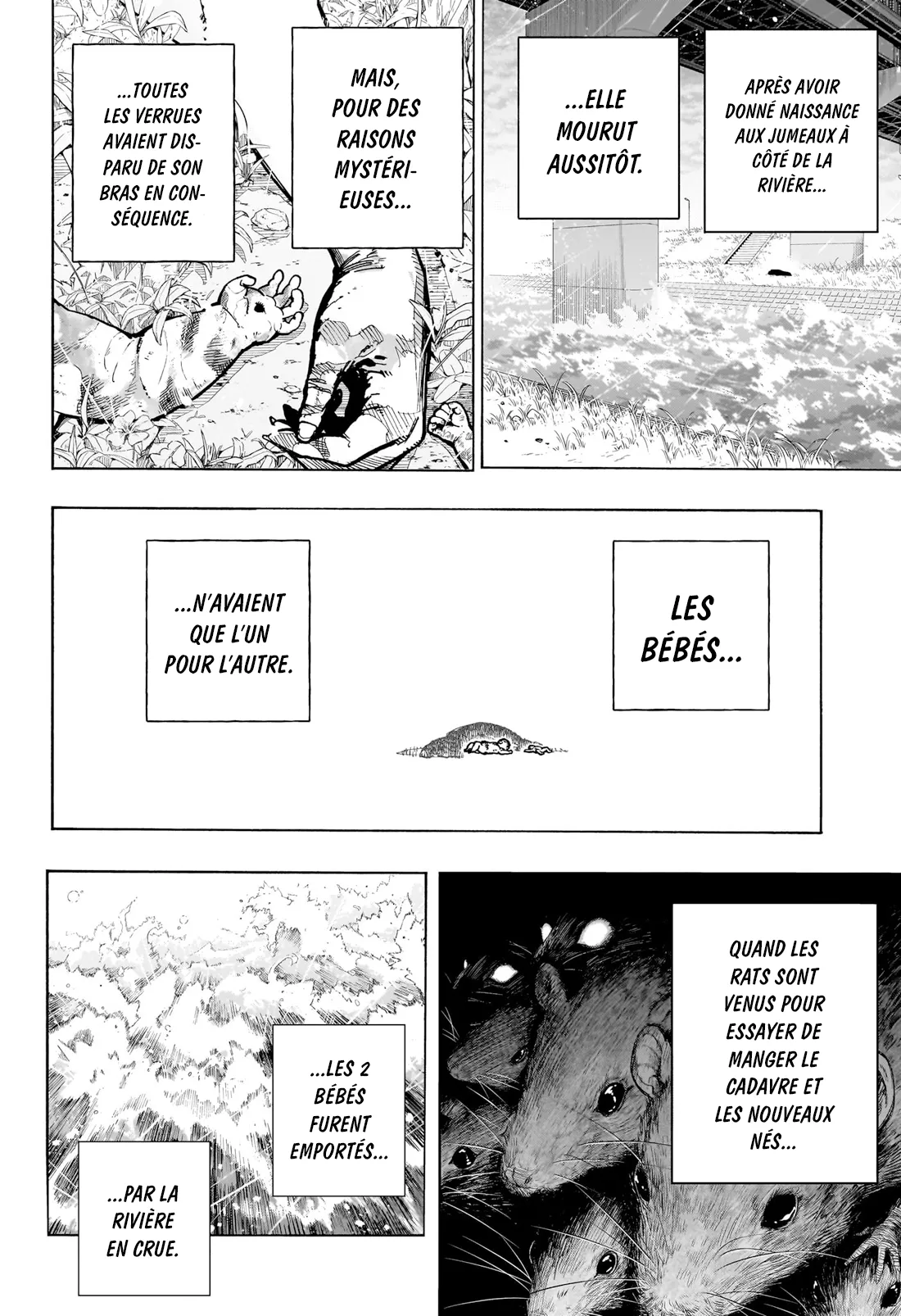 Read My Hero Academia vf Manga Online