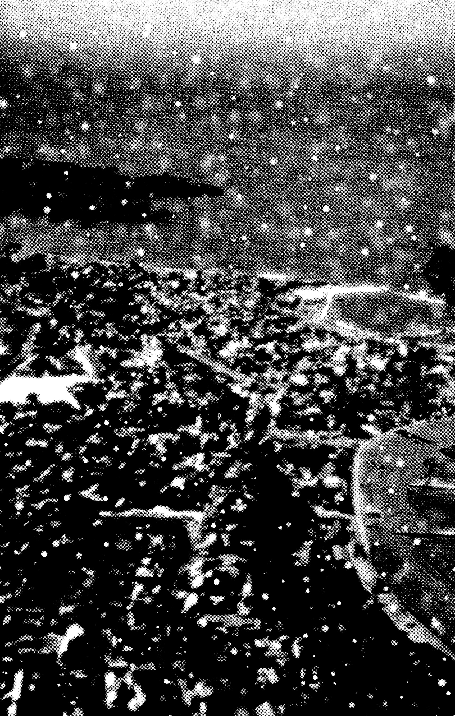 Read Nana vf Manga Online