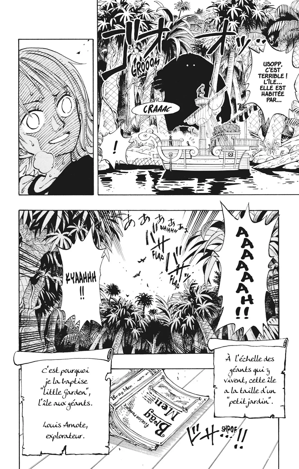 Read One Piece vf Manga Online