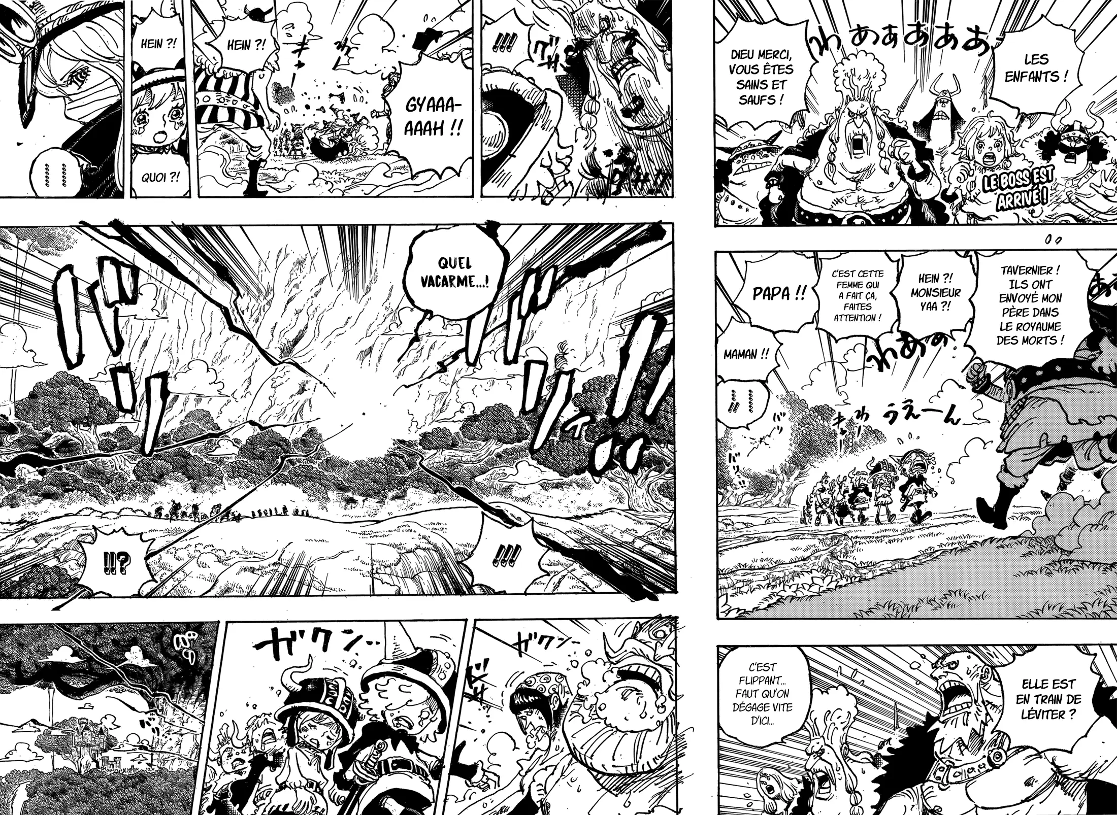 Read One Piece vf Manga Online