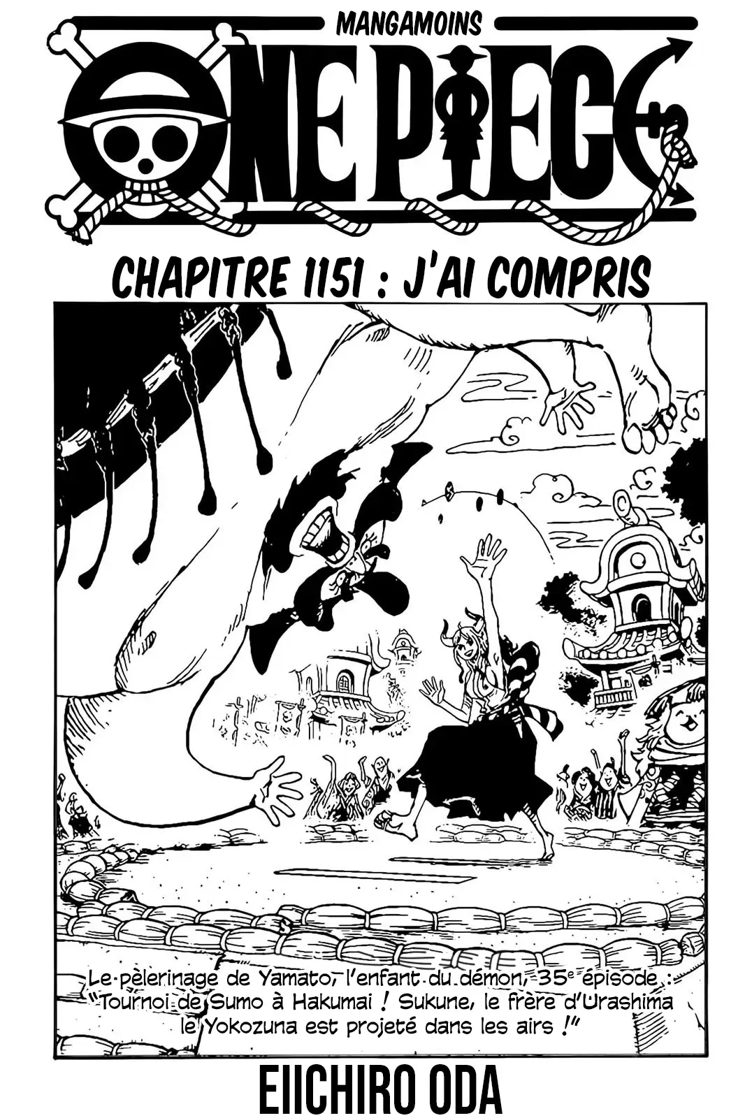 Read One Piece vf Manga Online