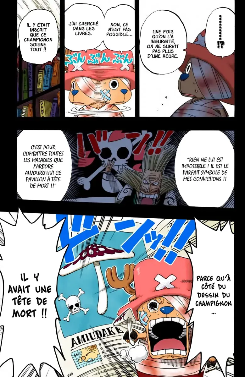 Read One Piece vf Manga Online