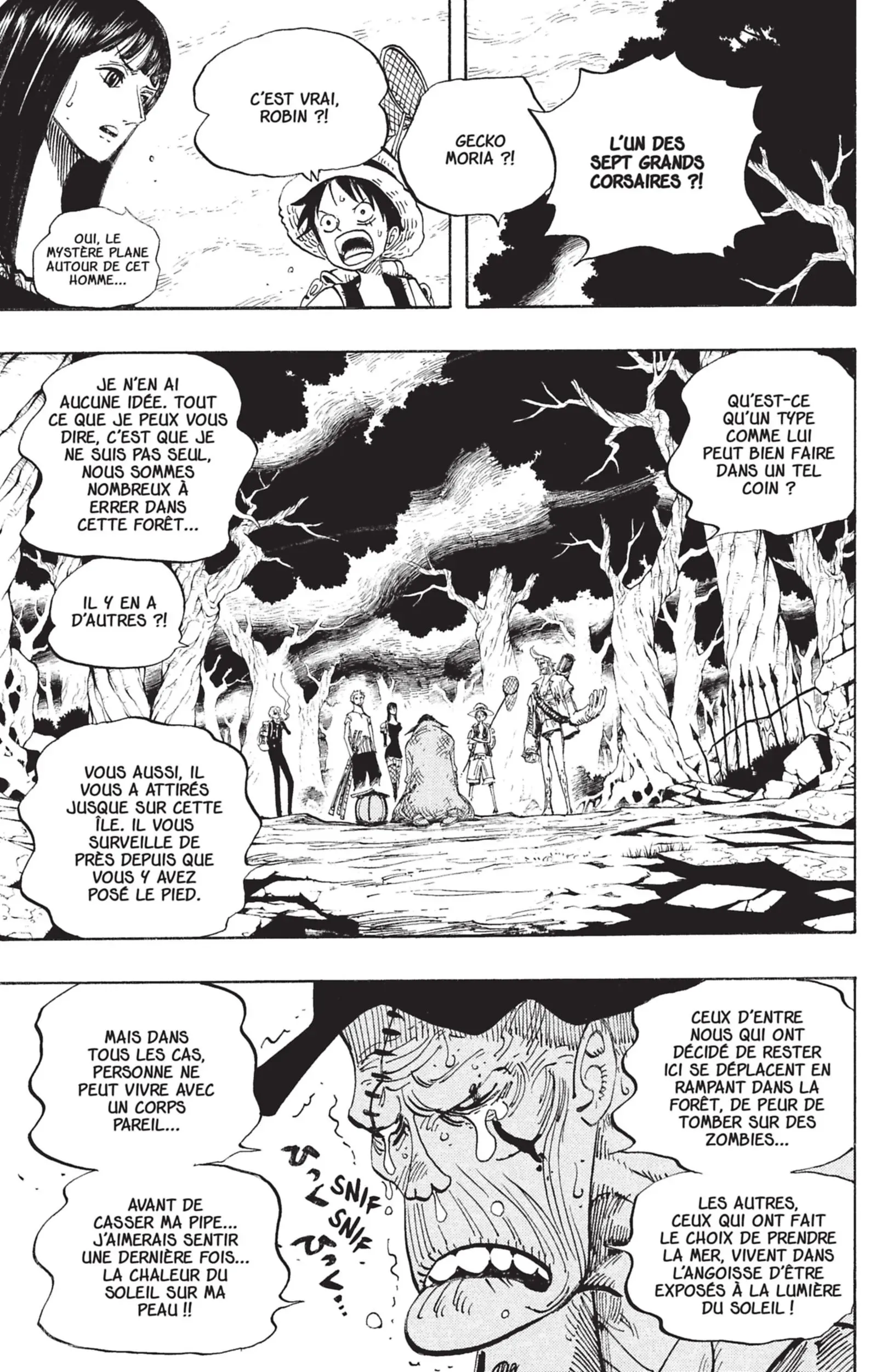 Read One Piece vf Manga Online