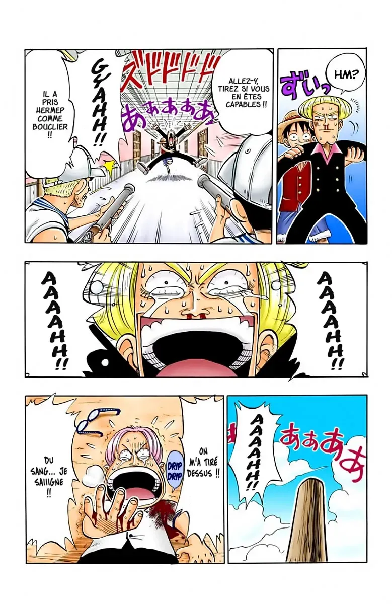 Read One Piece vf Manga Online