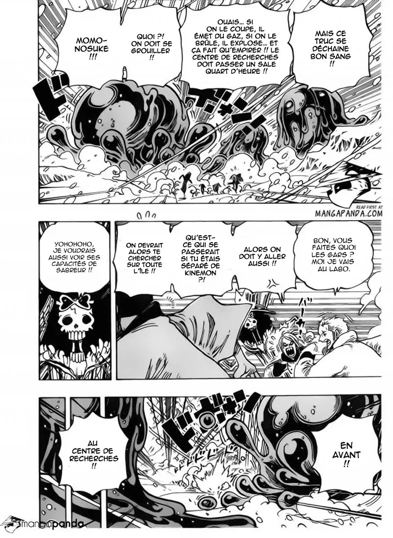 Read One Piece vf Manga Online