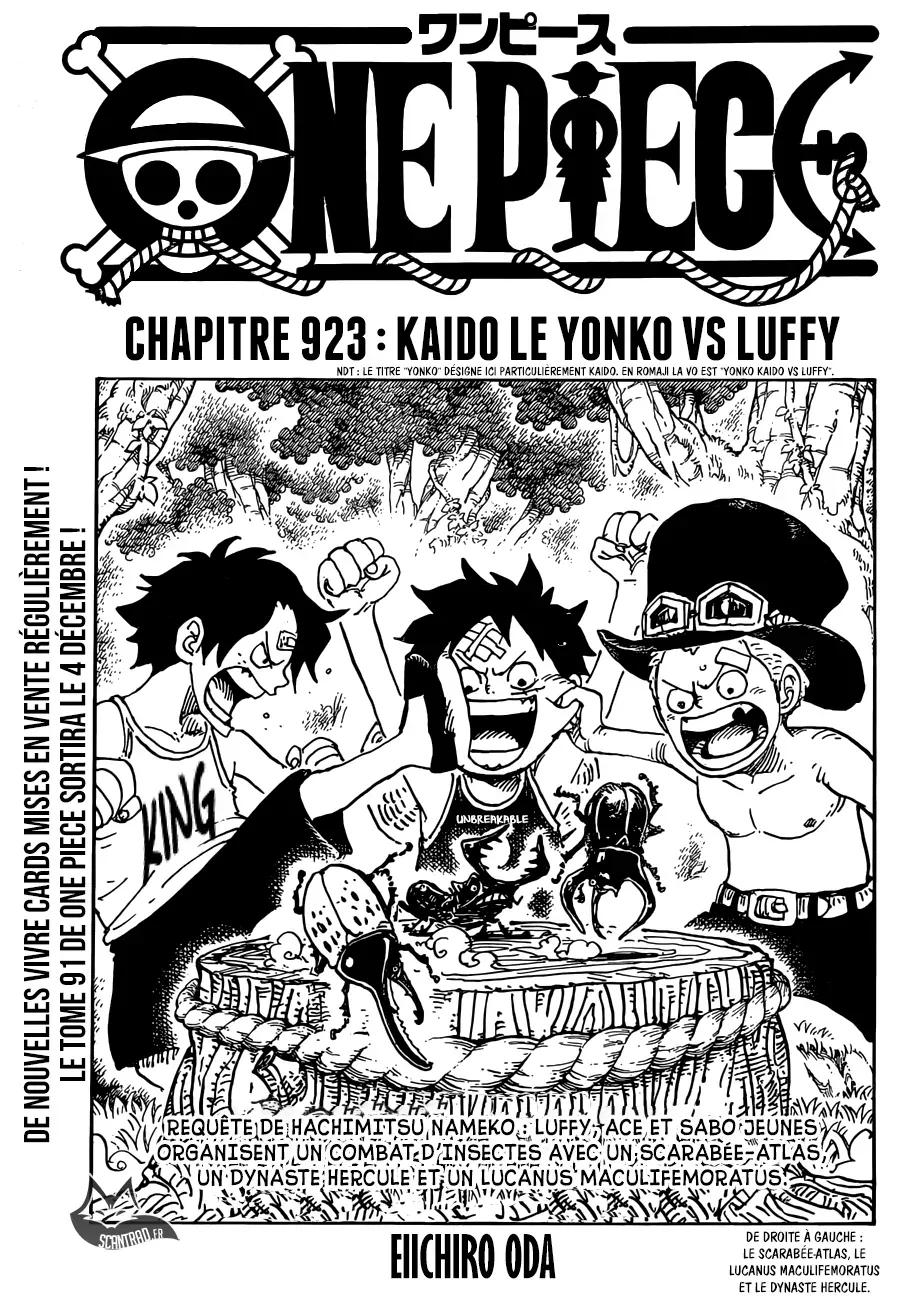 Read One Piece vf Manga Online