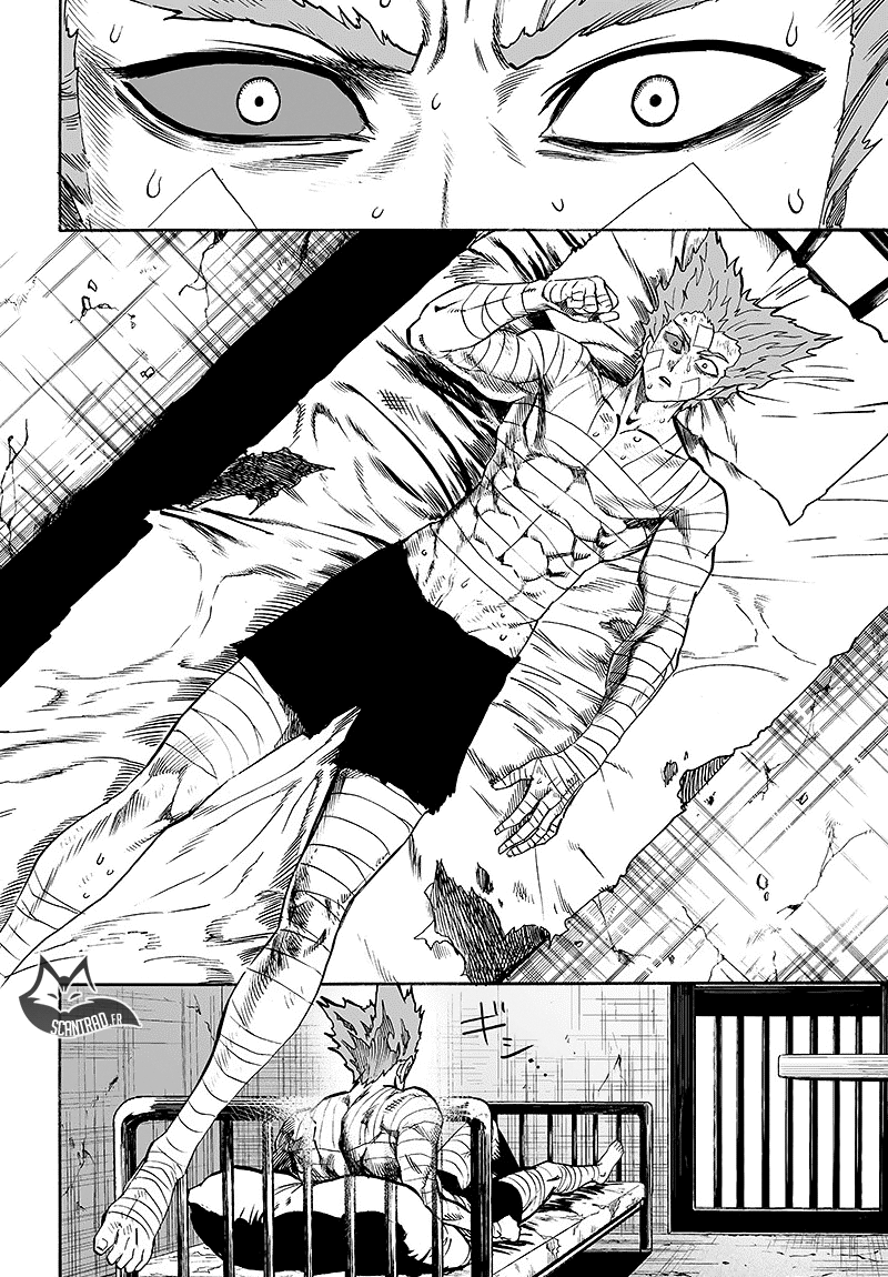 Read One Punch Man vf Manga Online