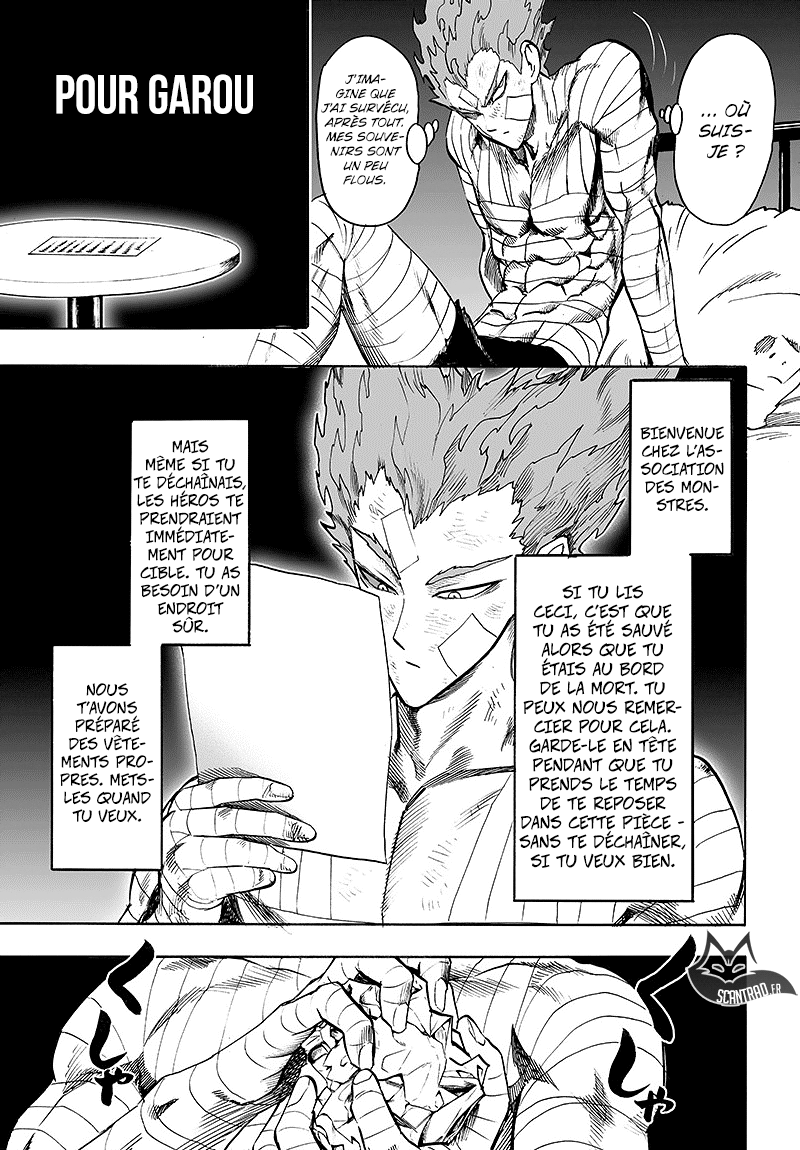 Read One Punch Man vf Manga Online