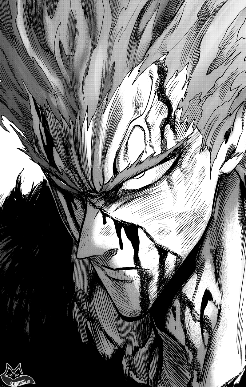 Read One Punch Man vf Manga Online