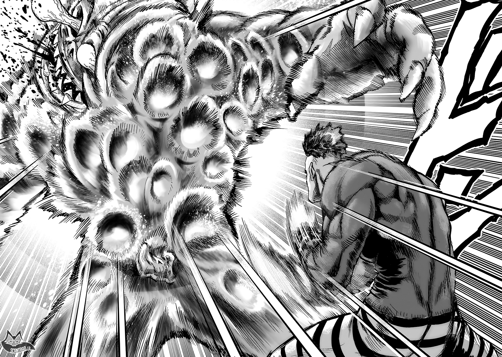 Read One Punch Man vf Manga Online