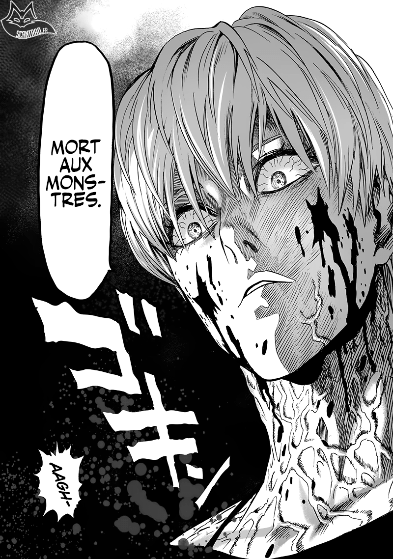 Read One Punch Man vf Manga Online