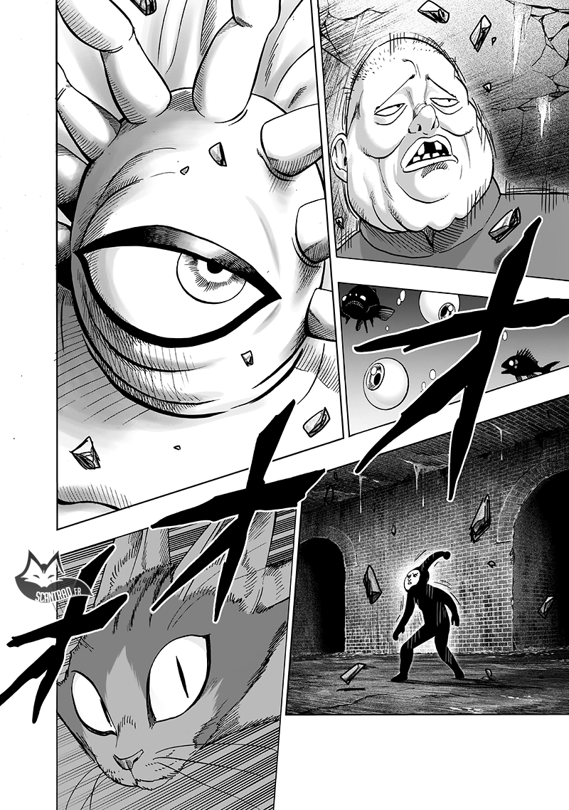Read One Punch Man vf Manga Online