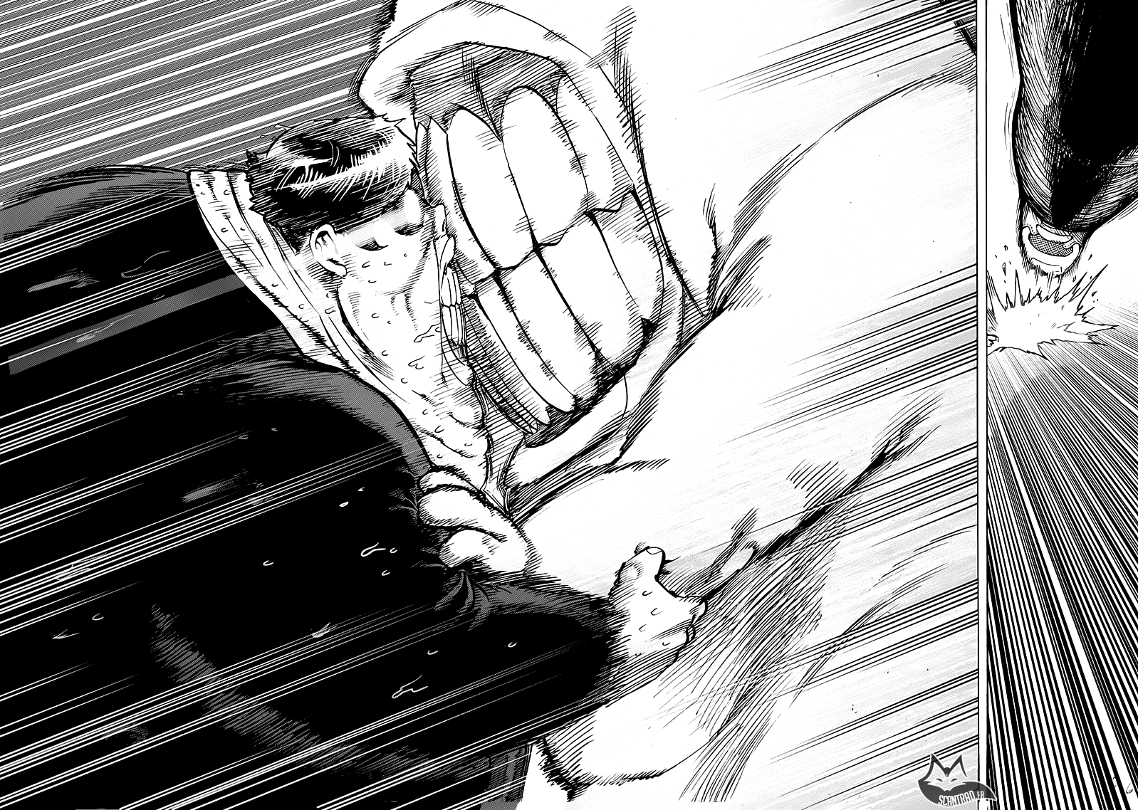 Read One Punch Man vf Manga Online