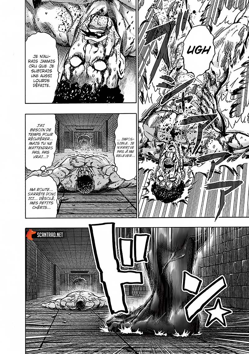 Read One Punch Man vf Manga Online