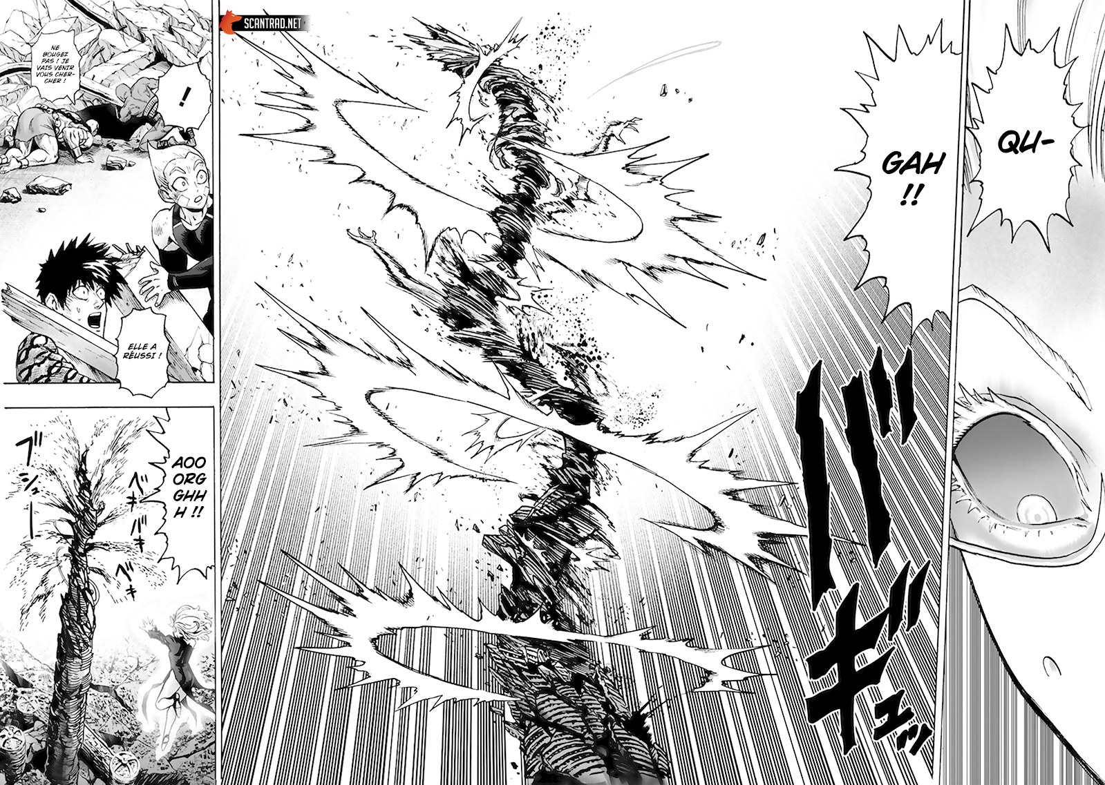 Read One Punch Man vf Manga Online