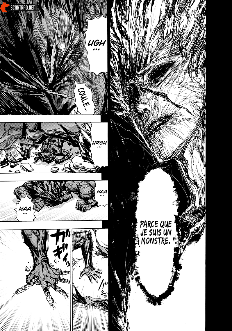 Read One Punch Man vf Manga Online