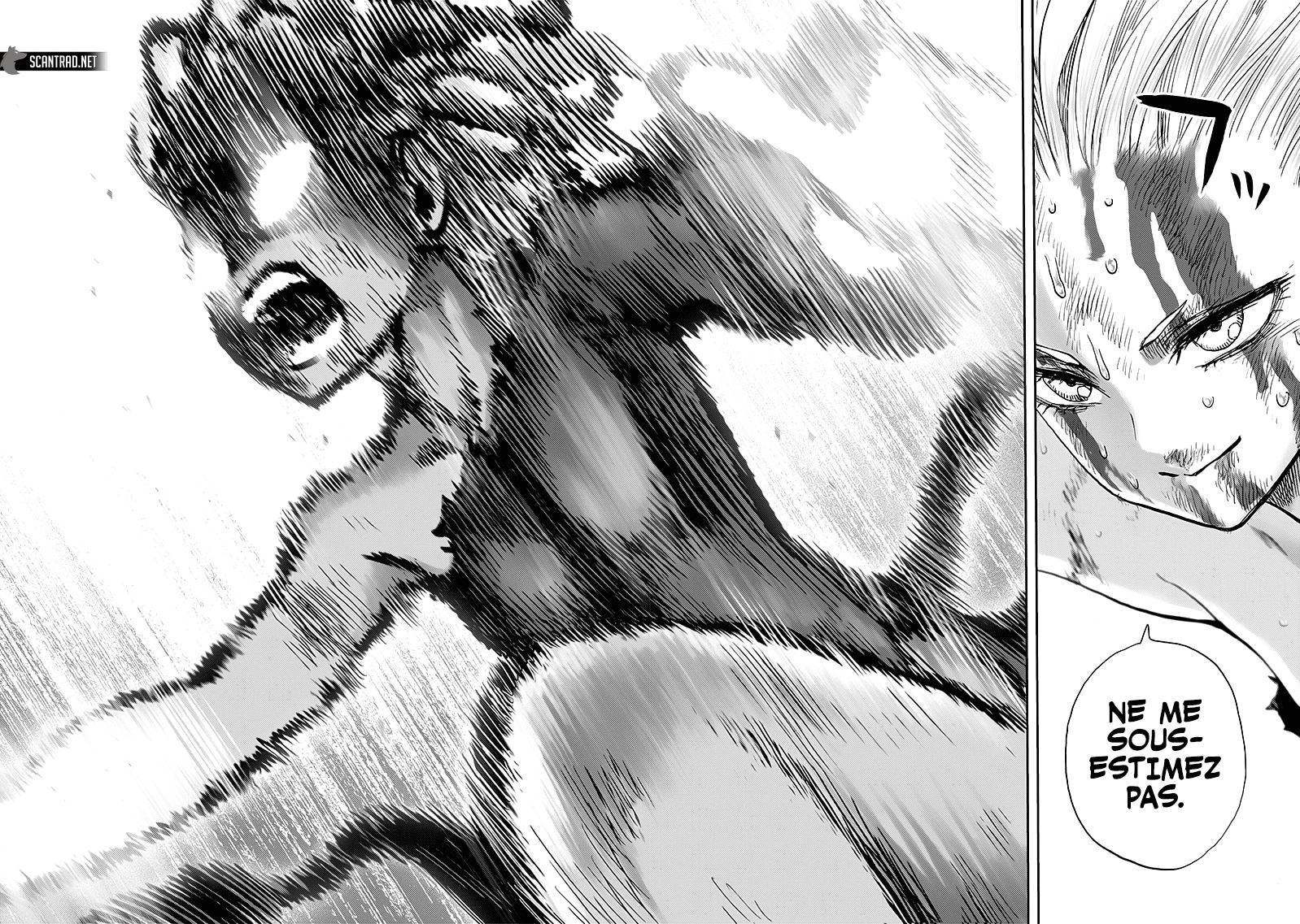 Read One Punch Man vf Manga Online
