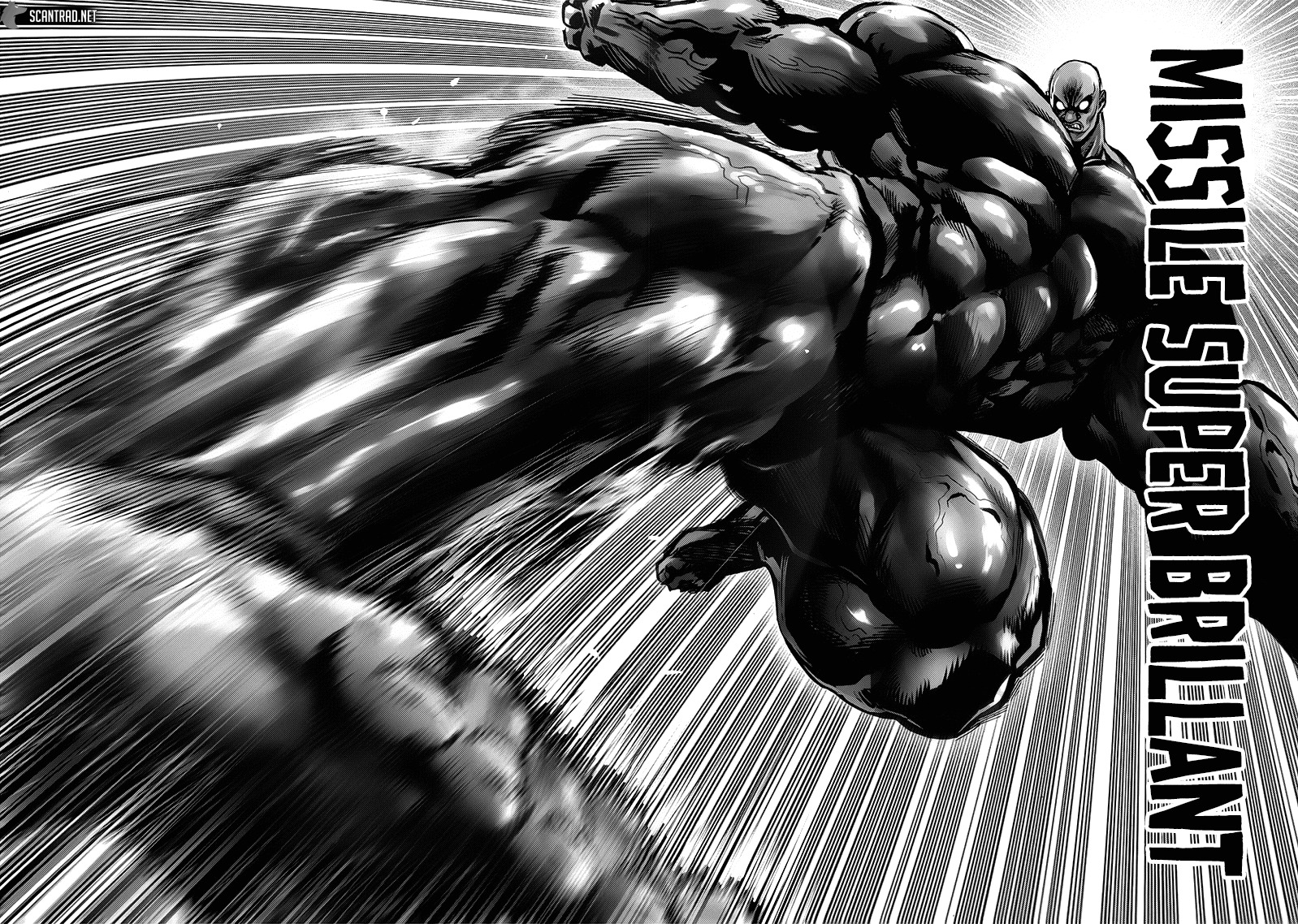 Read One Punch Man vf Manga Online
