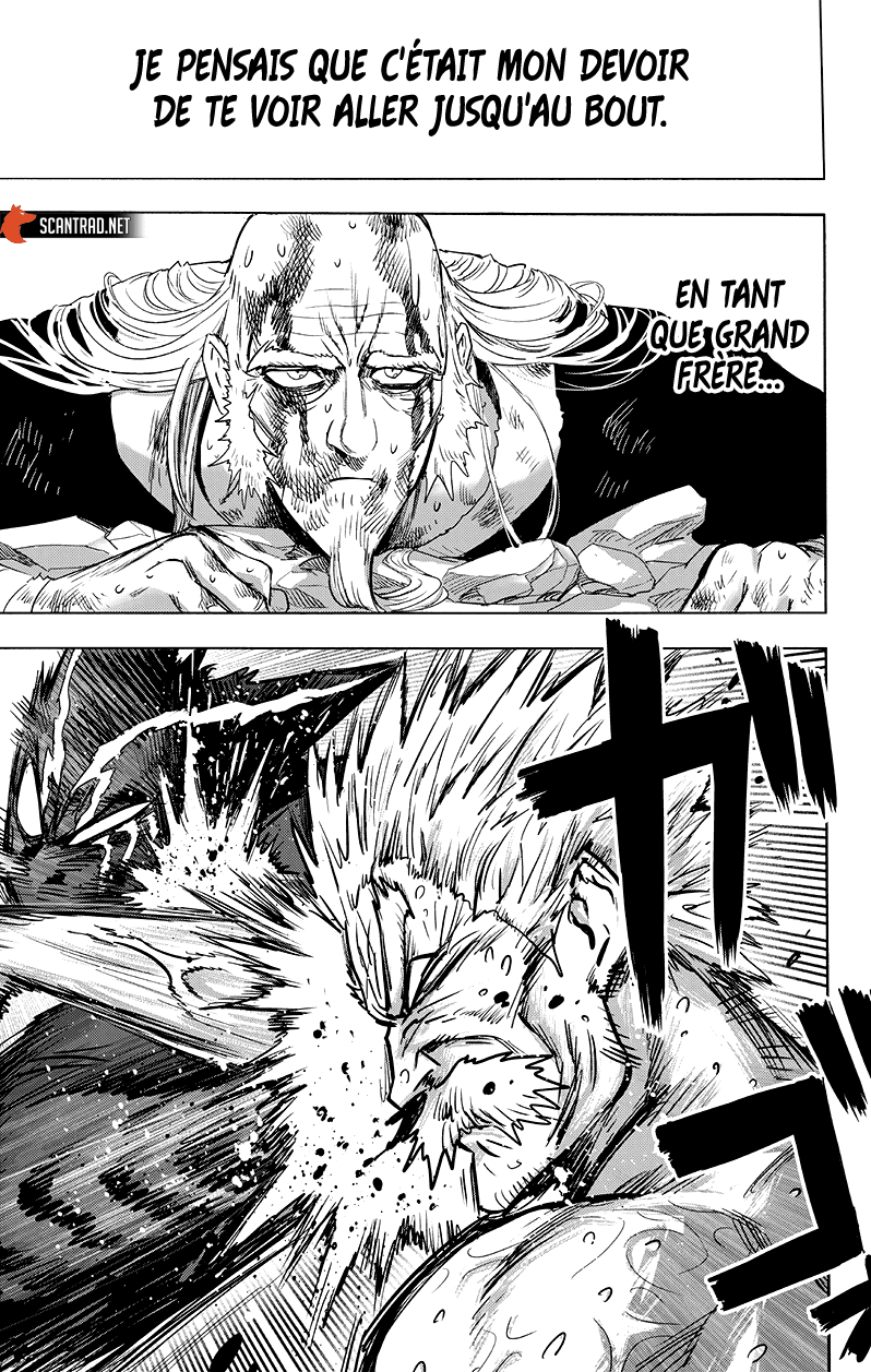 Read One Punch Man vf Manga Online