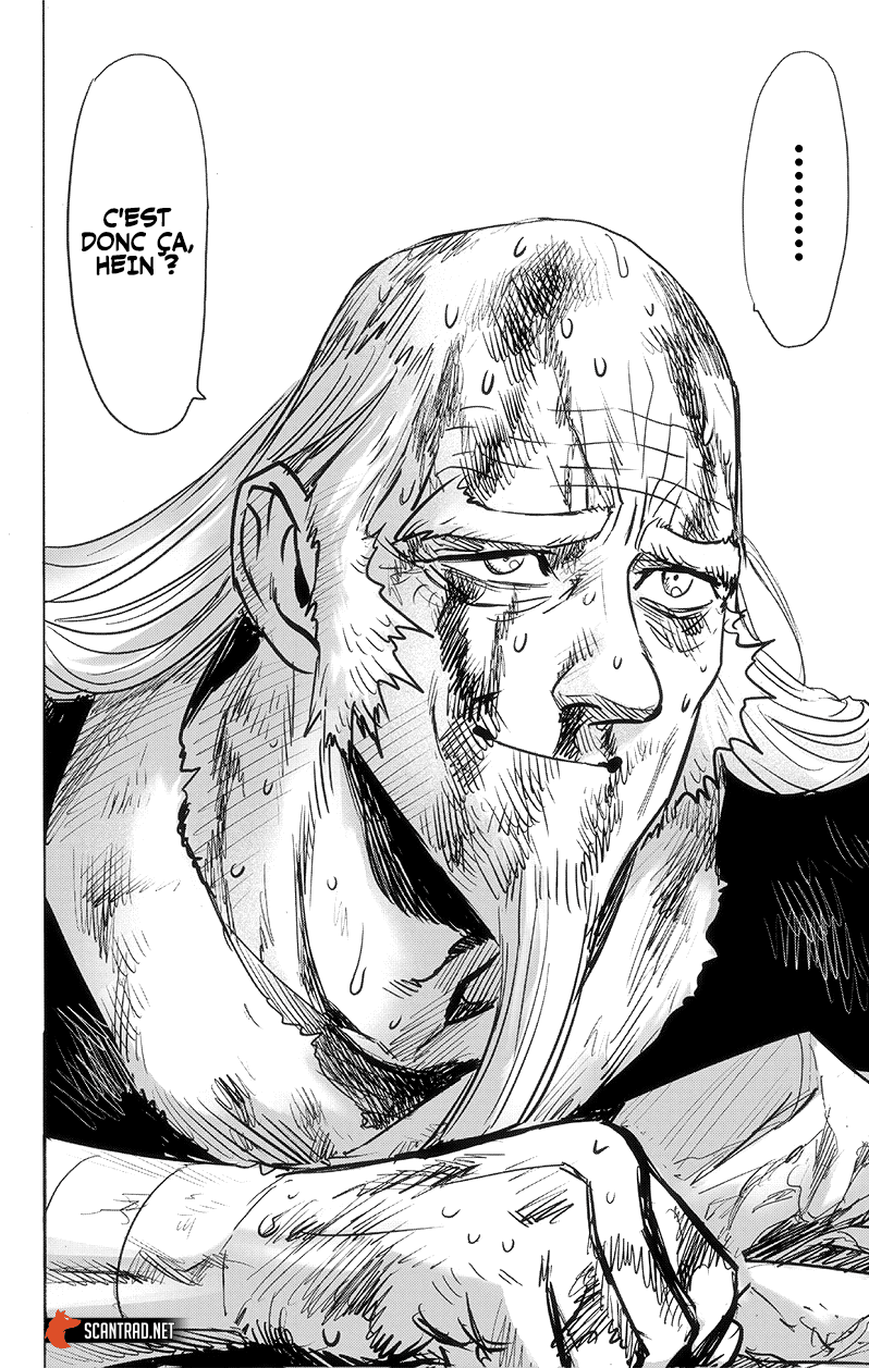 Read One Punch Man vf Manga Online