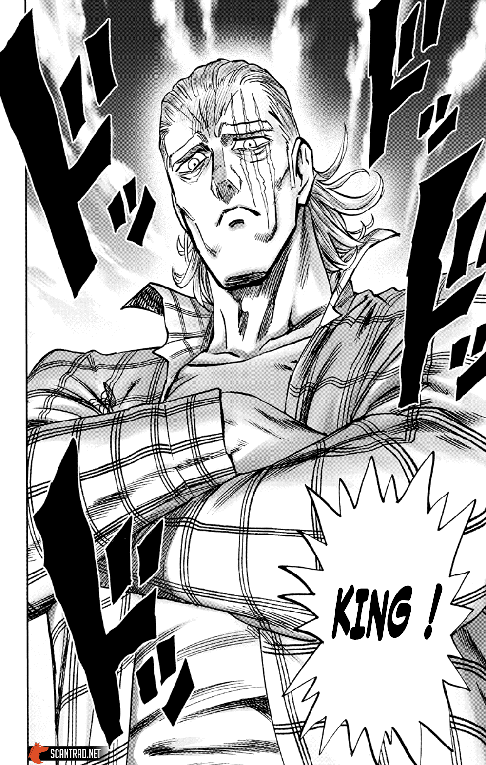 Read One Punch Man vf Manga Online