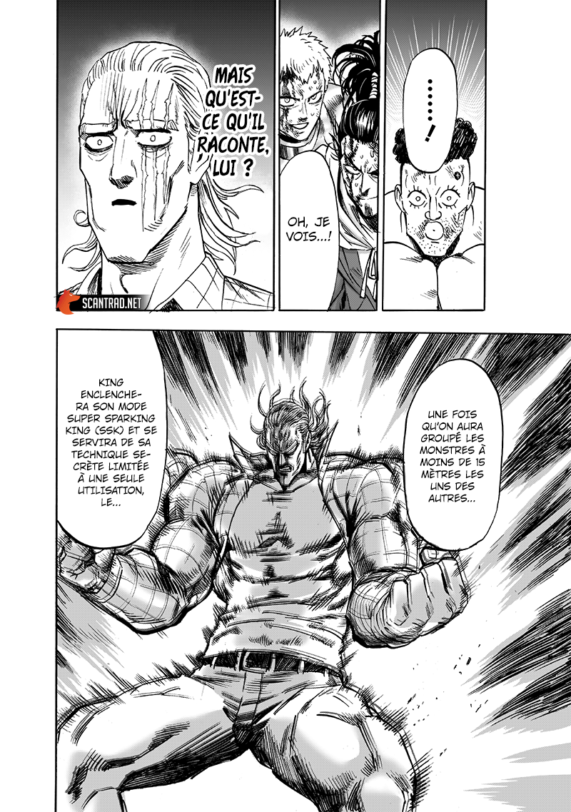 Read One Punch Man vf Manga Online