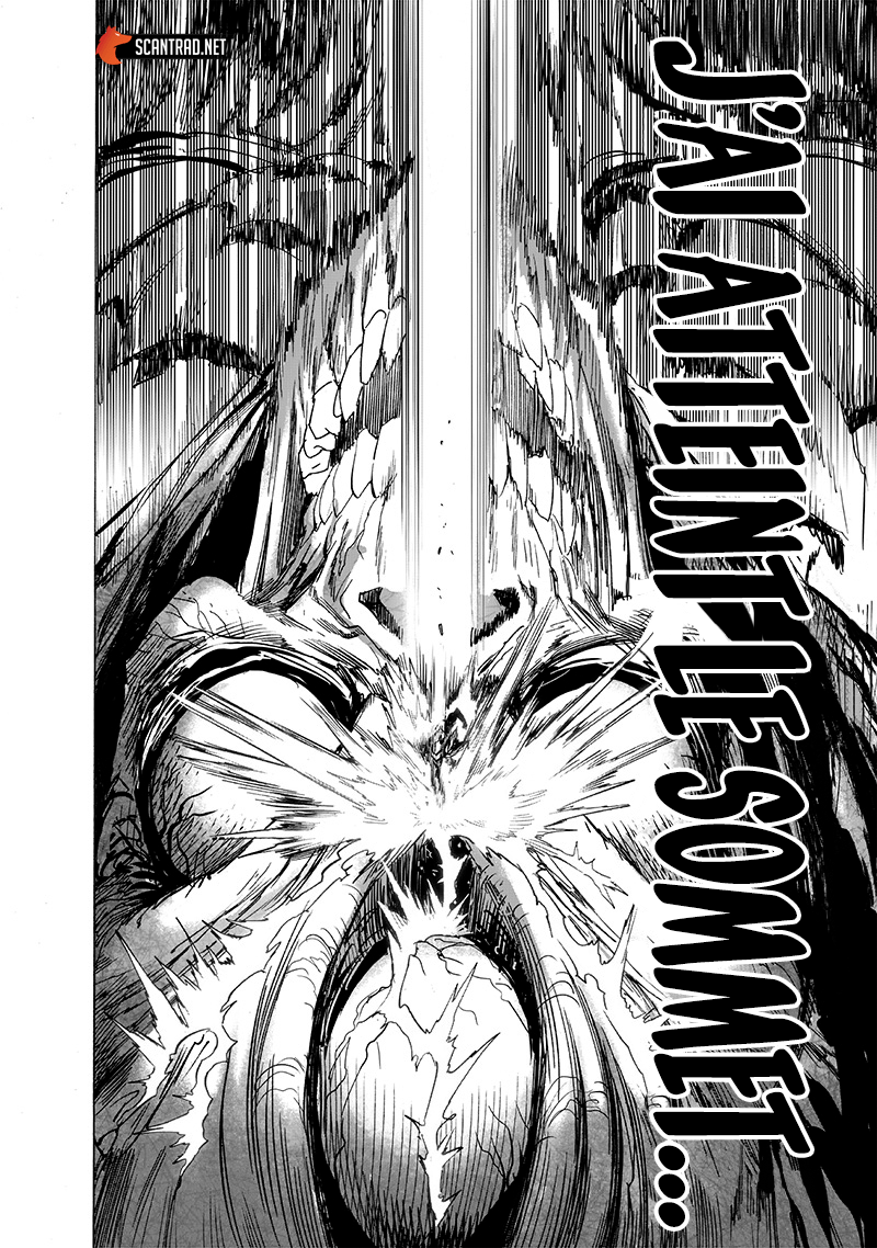 Read One Punch Man vf Manga Online