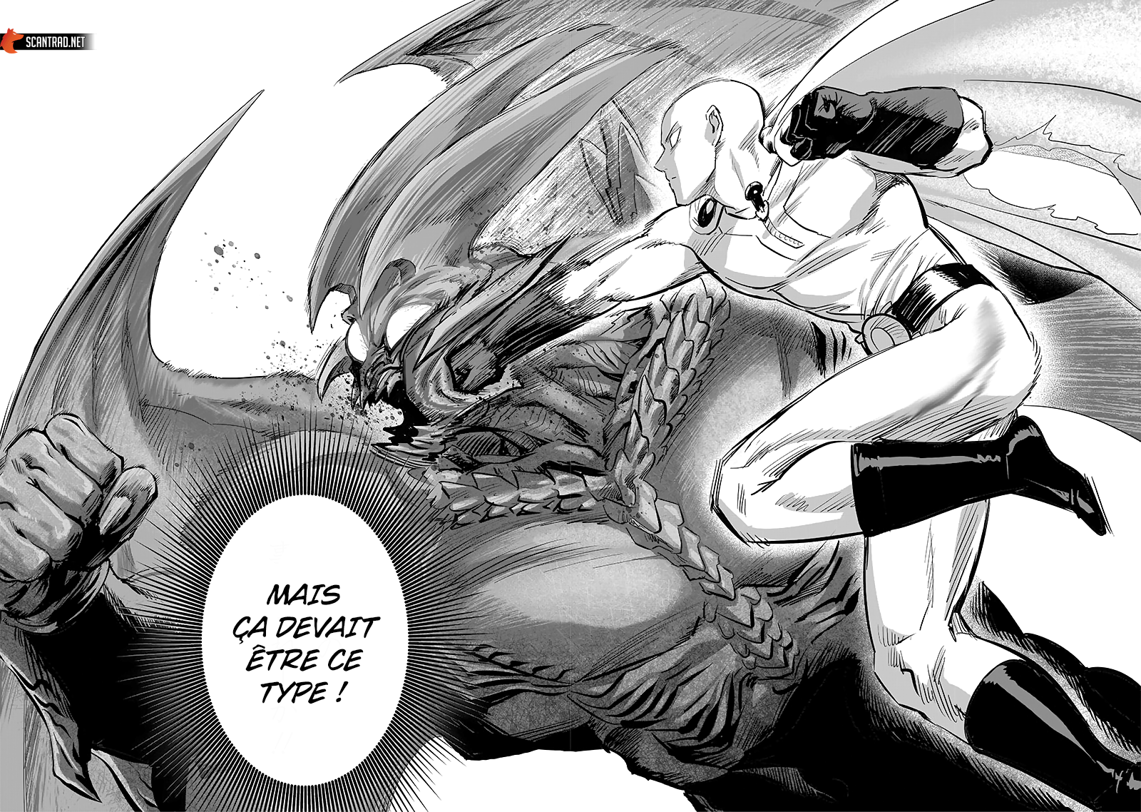 Read One Punch Man vf Manga Online
