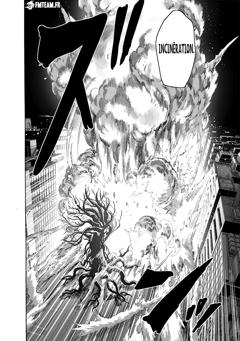 Read One Punch Man vf Manga Online