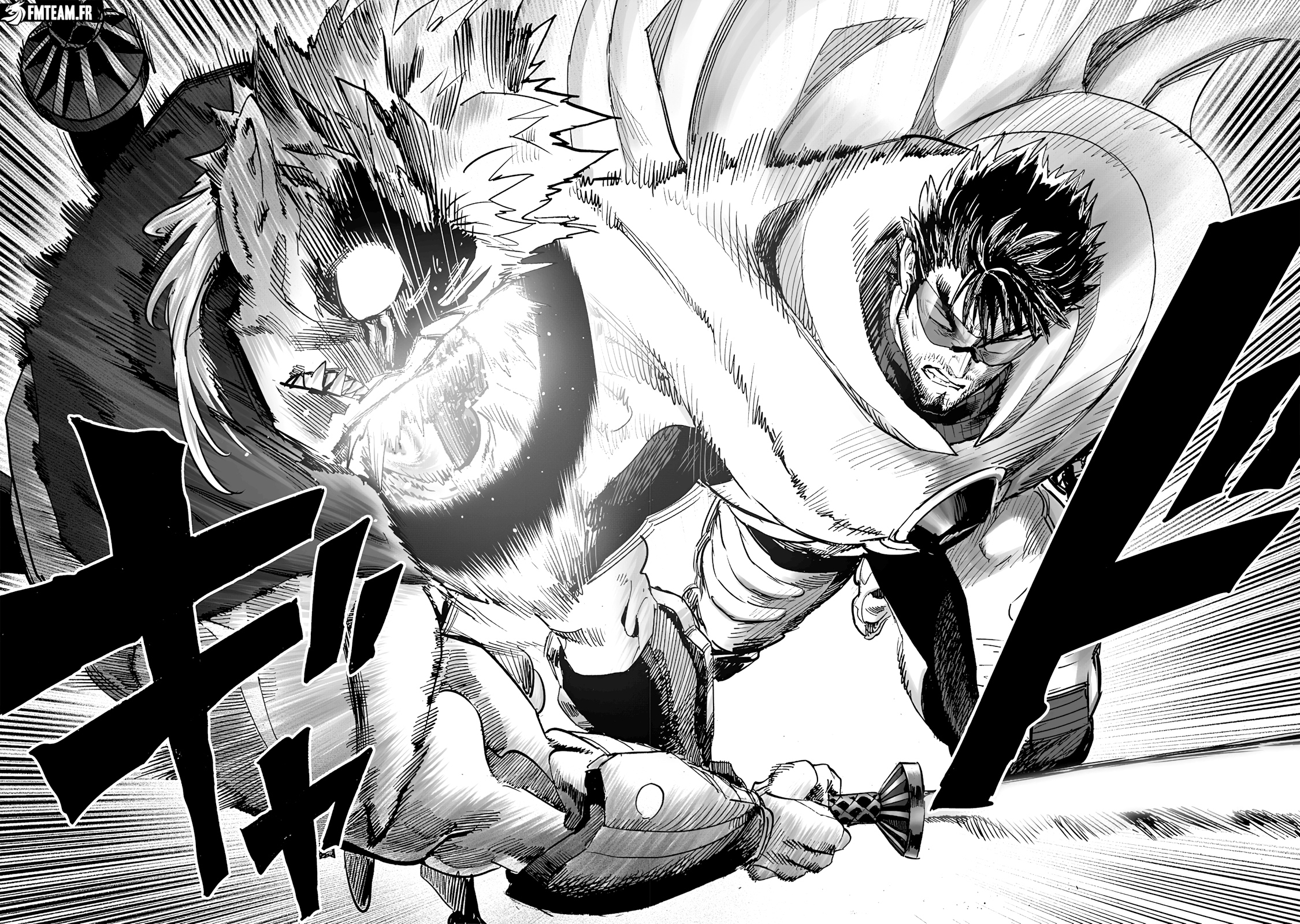 Read One Punch Man vf Manga Online