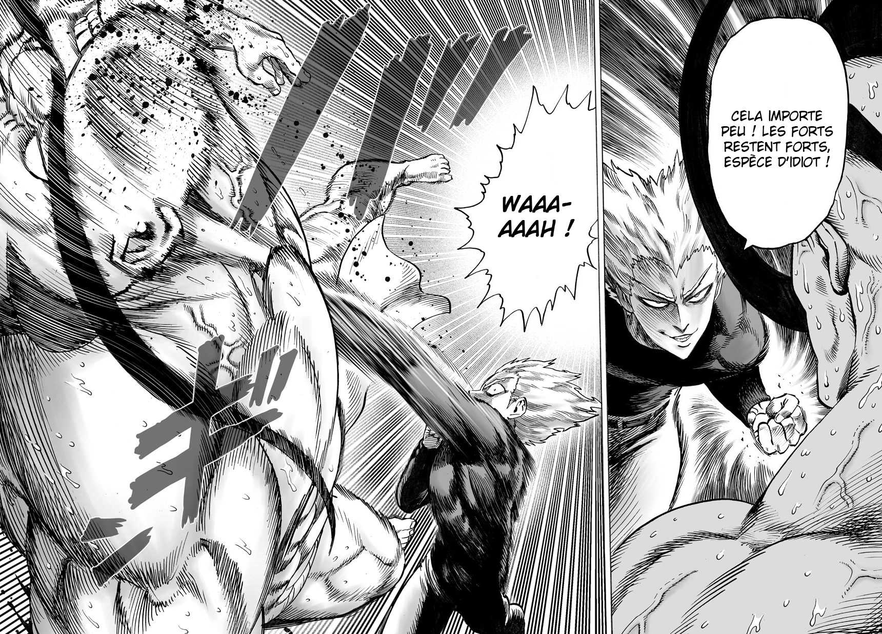Read One Punch Man vf Manga Online