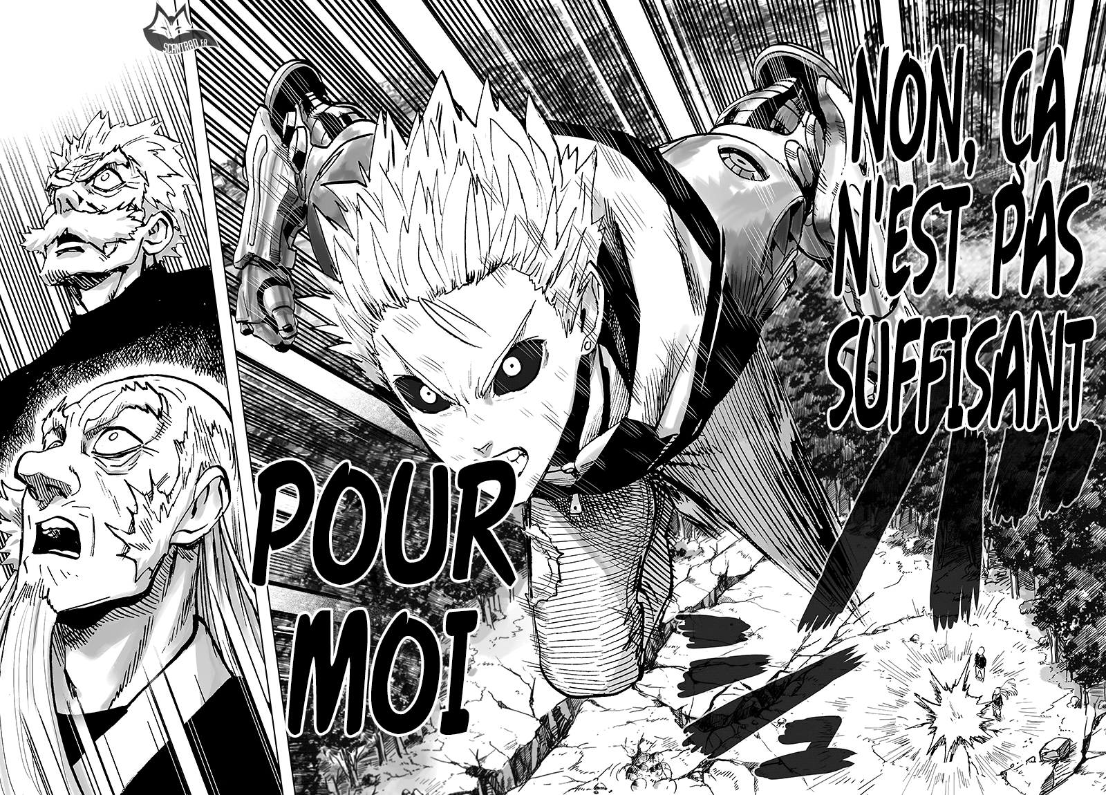 Read One Punch Man vf Manga Online