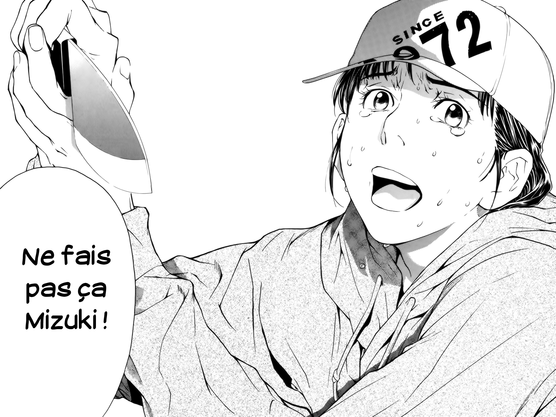 Read Shibatora vf Manga Online