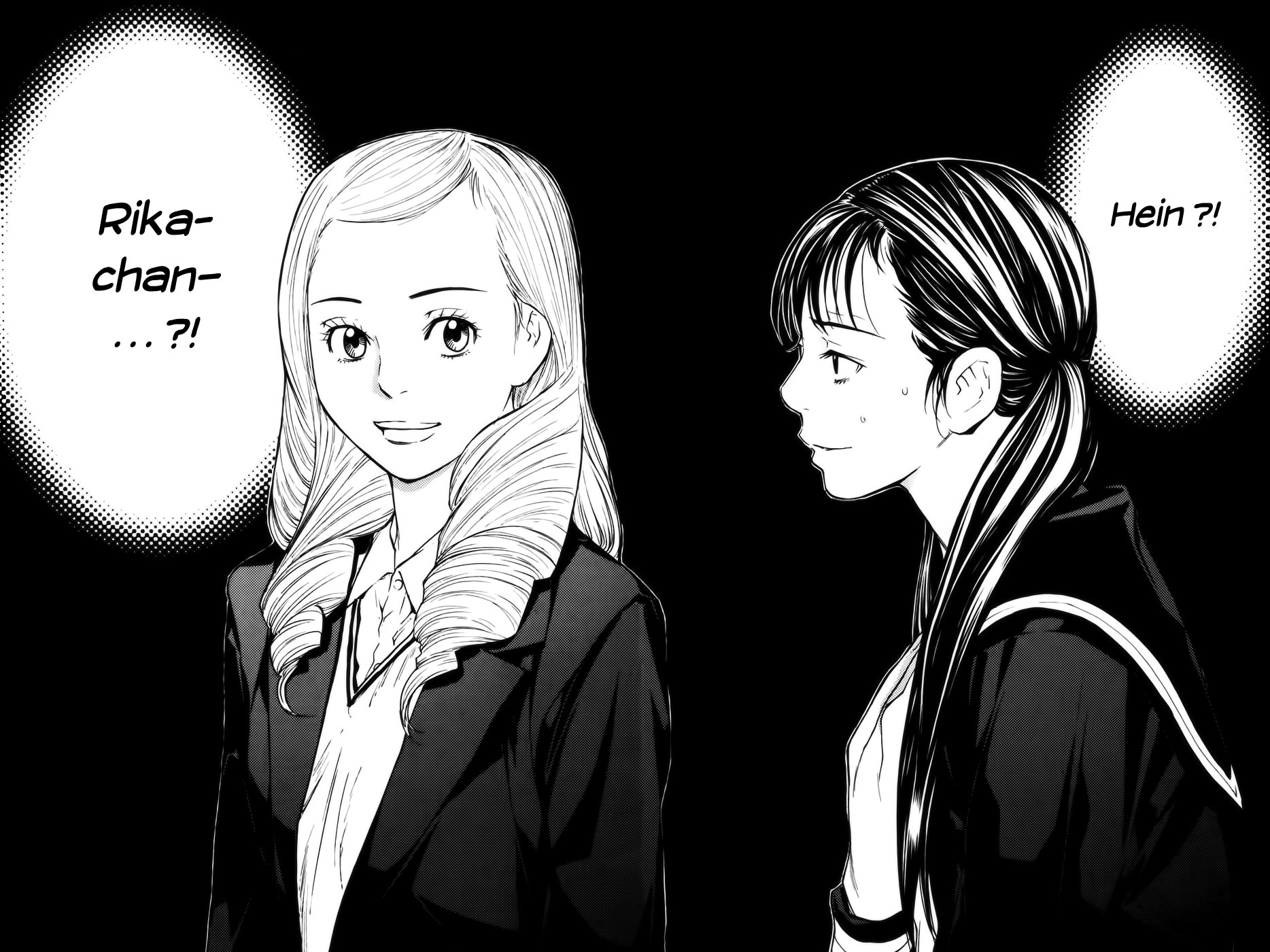 Read Shibatora vf Manga Online