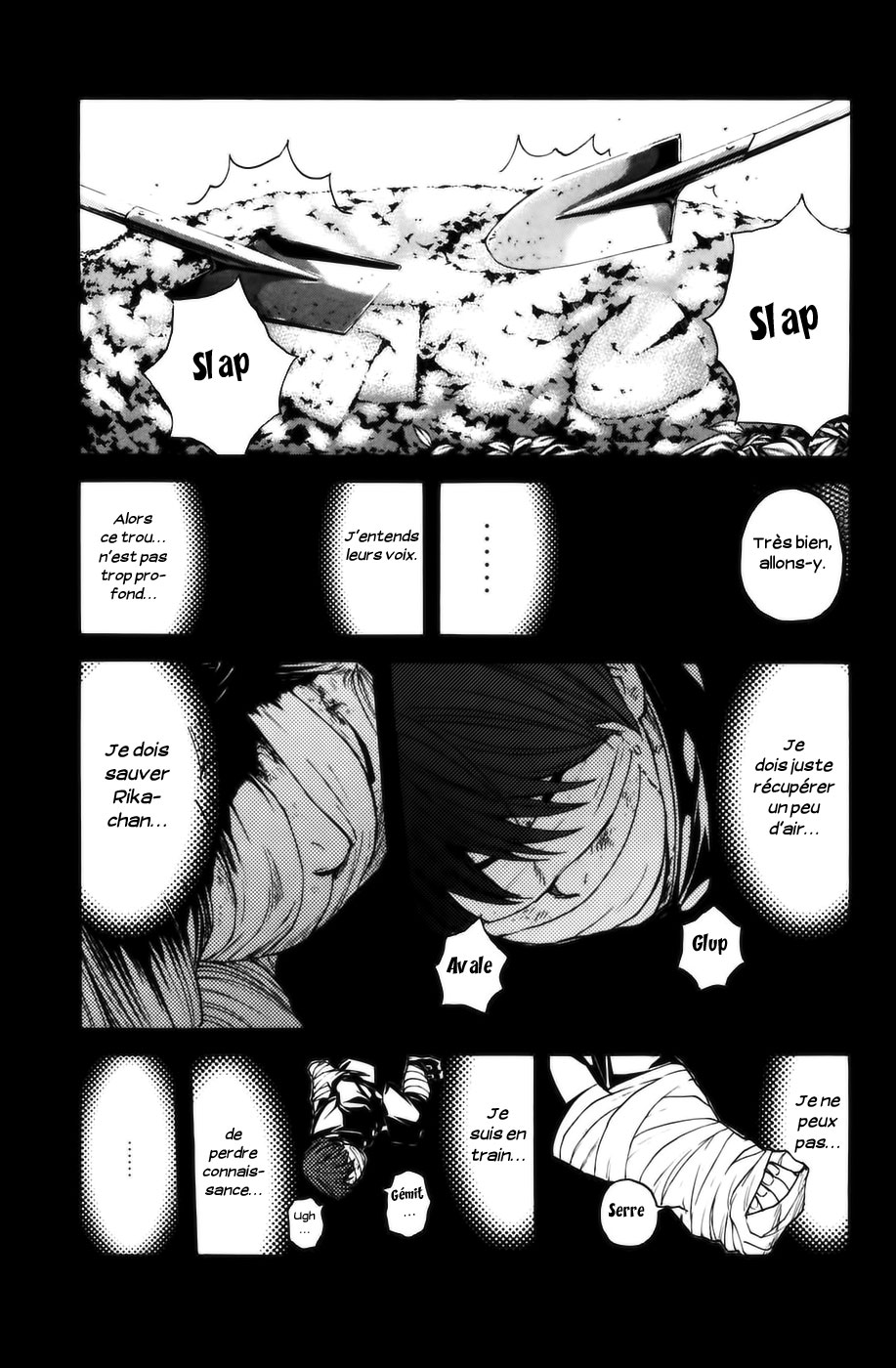 Read Shibatora vf Manga Online