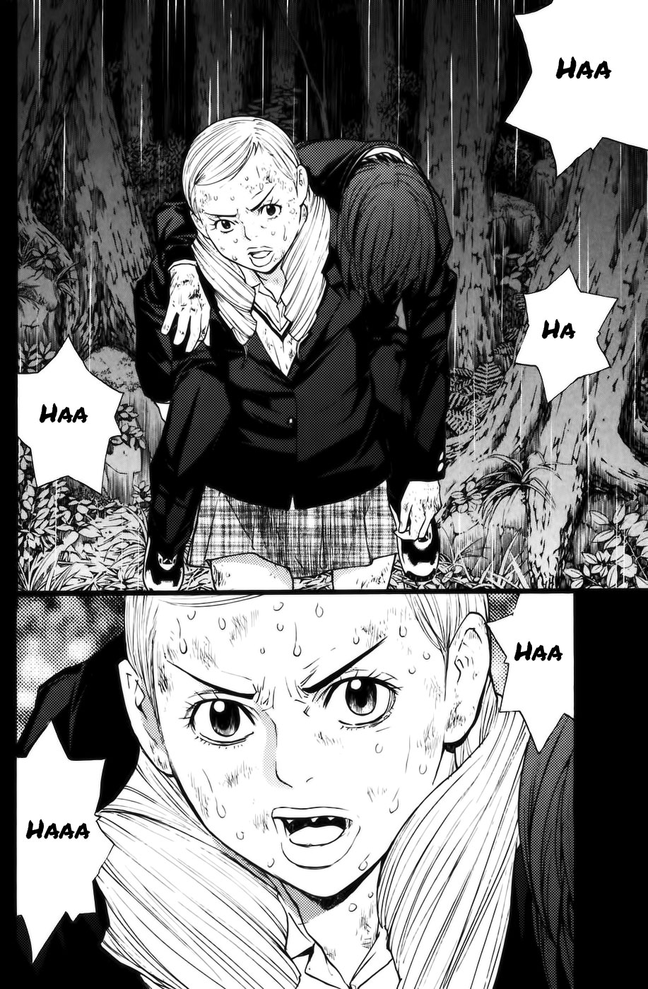 Read Shibatora vf Manga Online