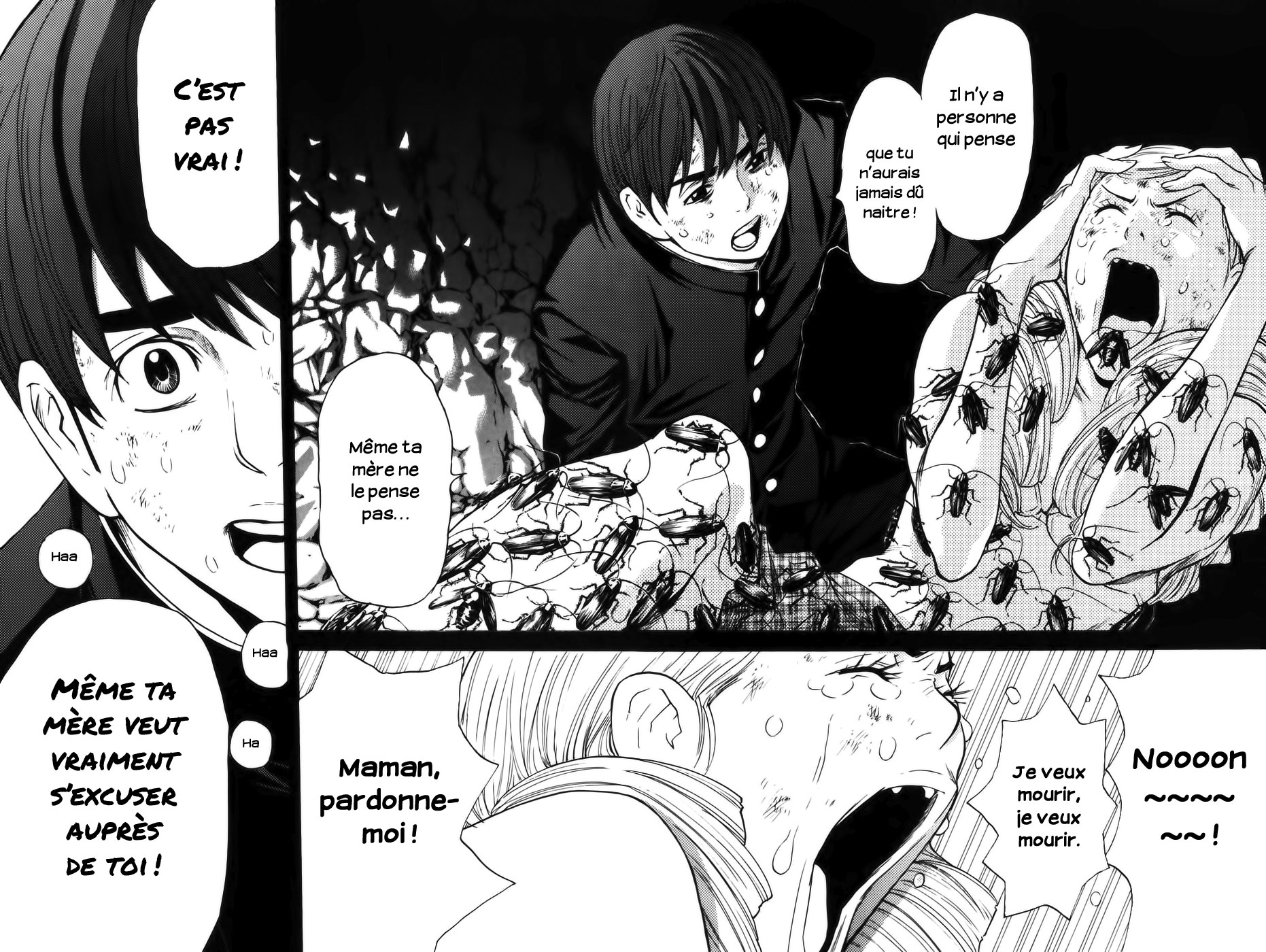 Read Shibatora vf Manga Online