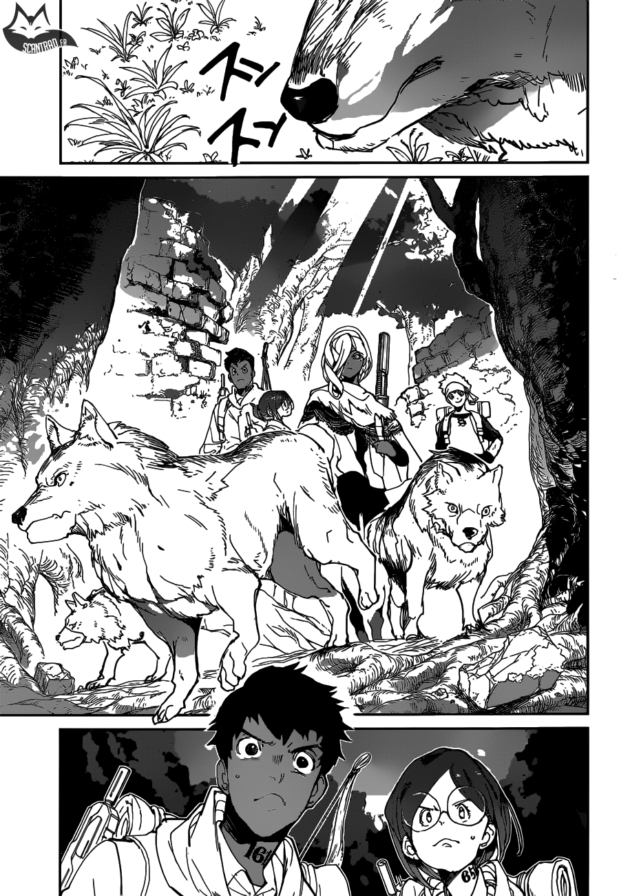 Read The Promised Neverland vf Manga Online