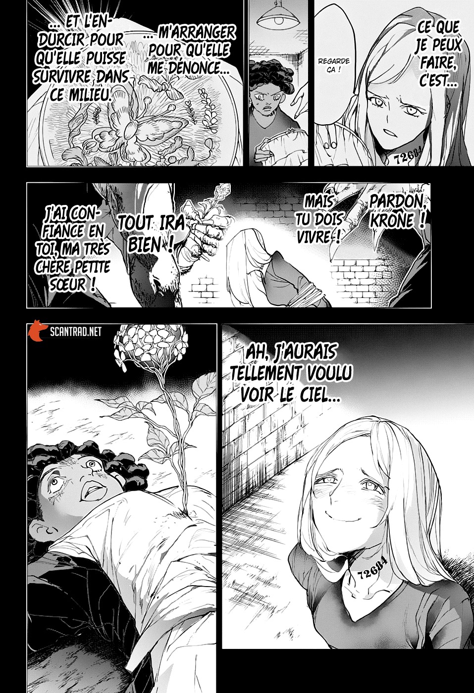 Read The Promised Neverland vf Manga Online