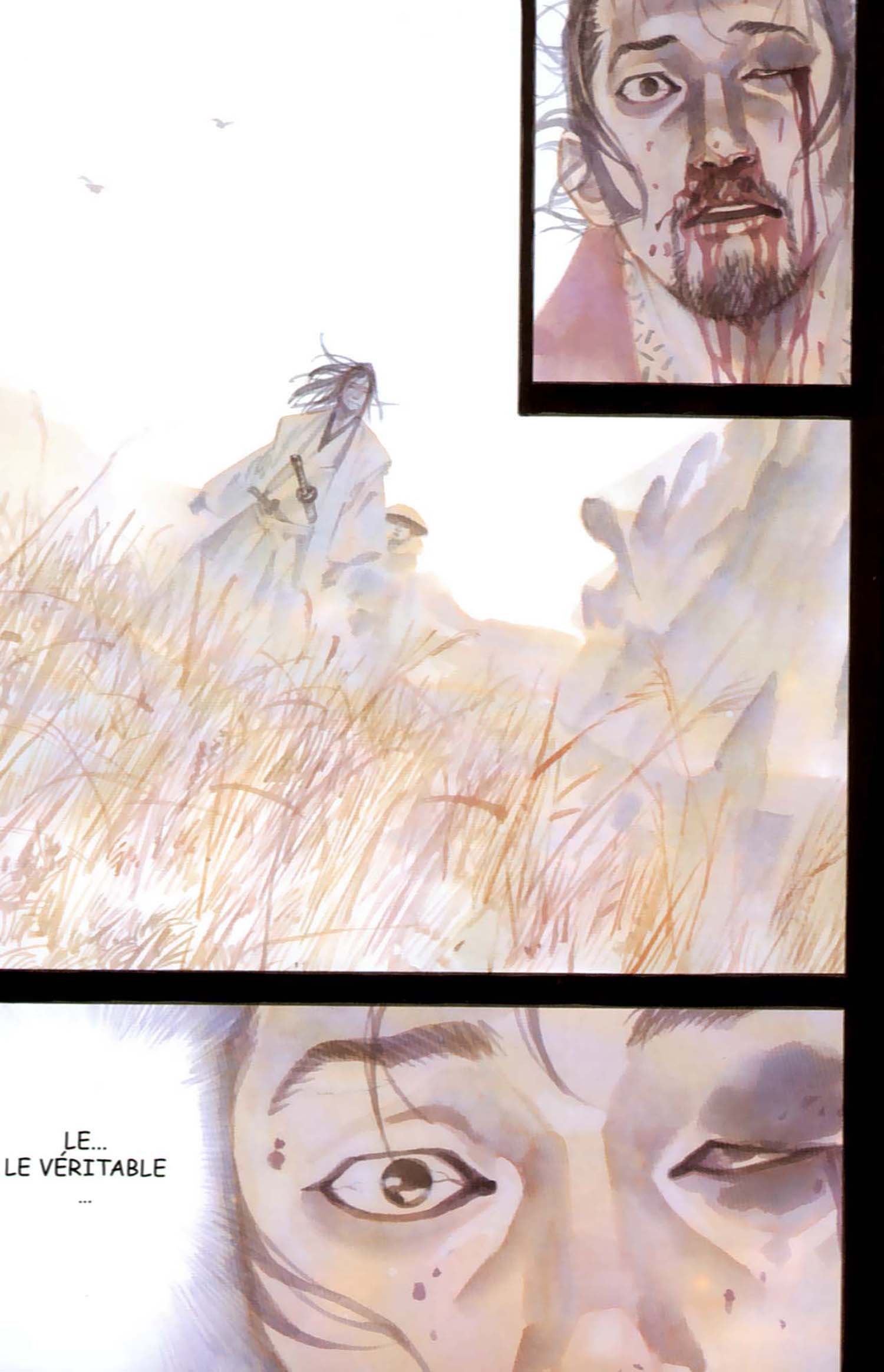 Read Vagabond Scan Vf Manga Online