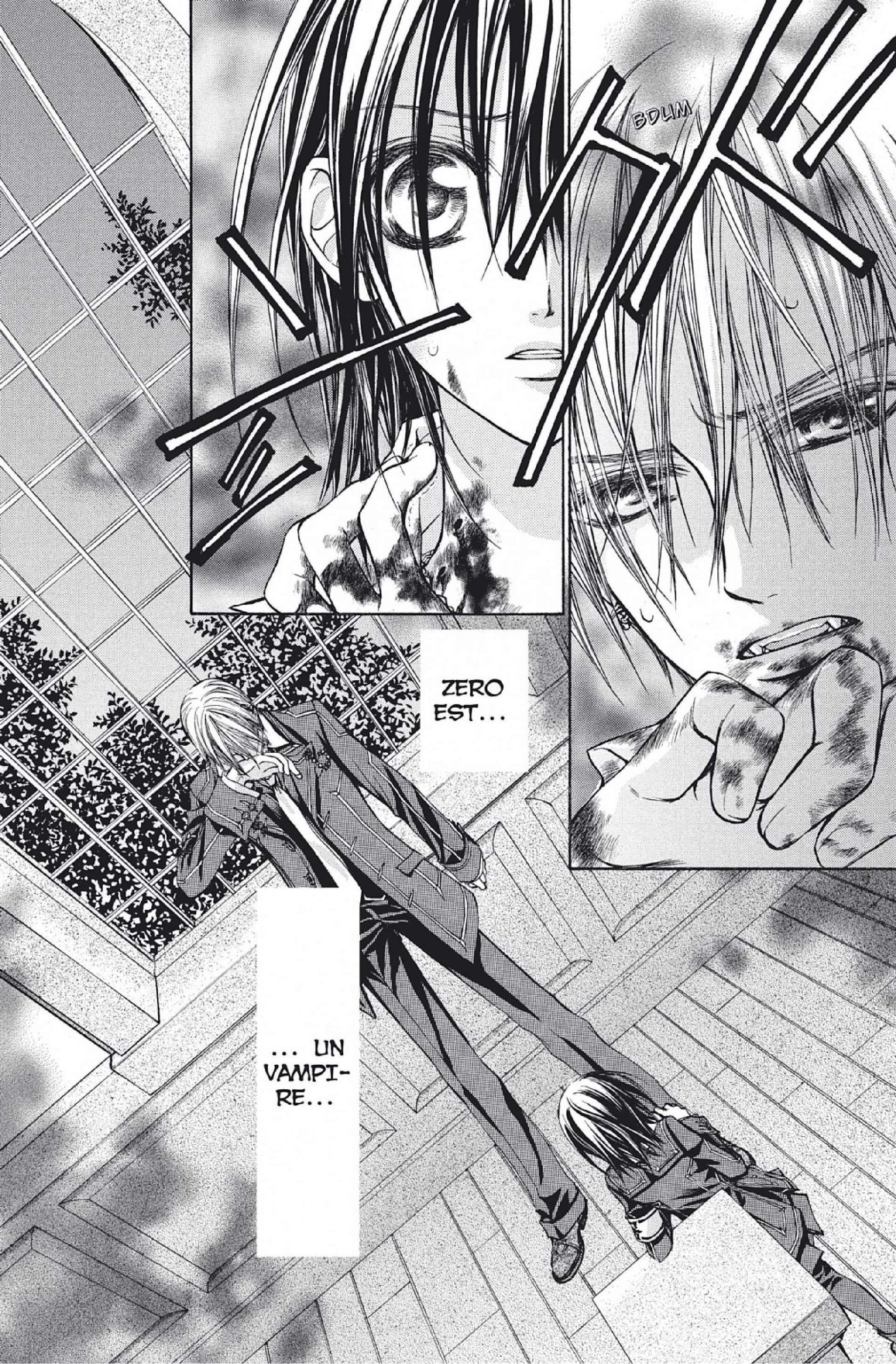 Read Vampire Knight vf Manga Online