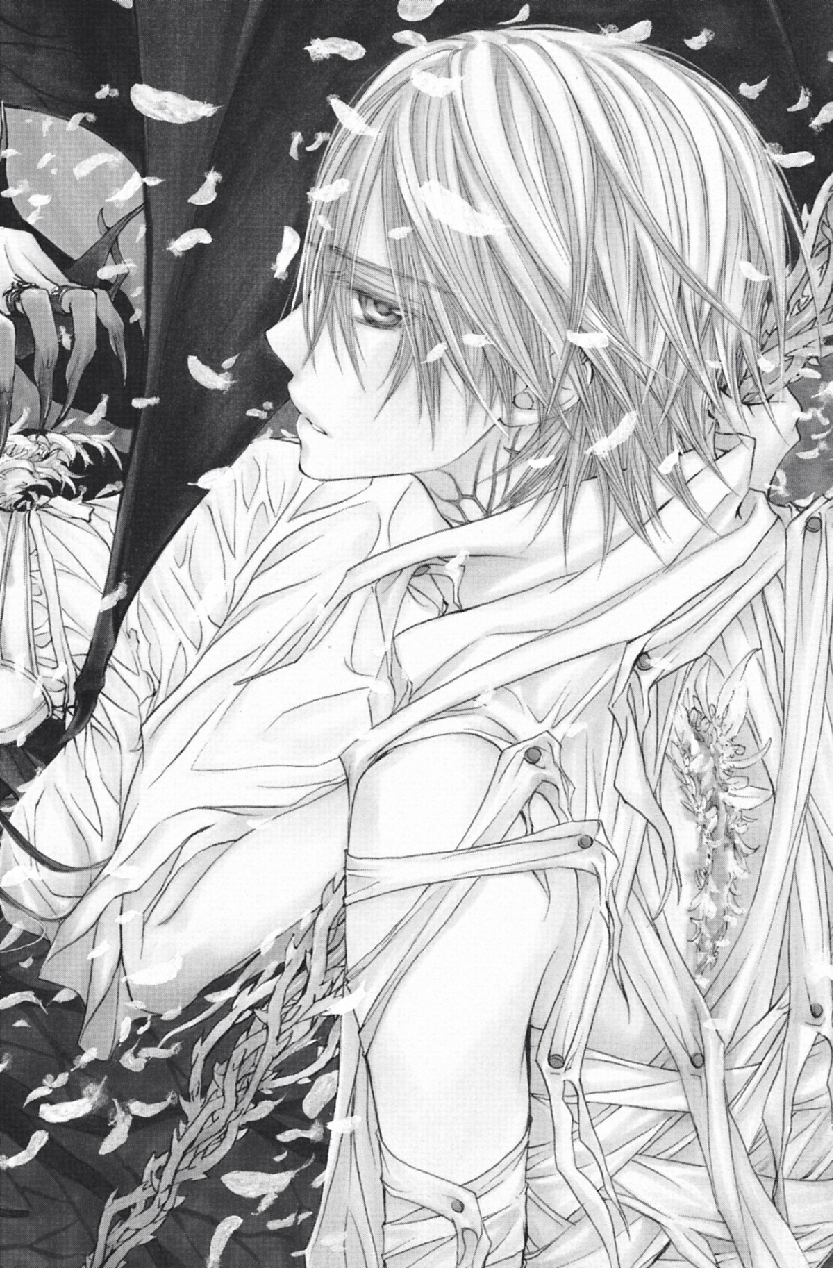 Read Vampire Knight vf Manga Online