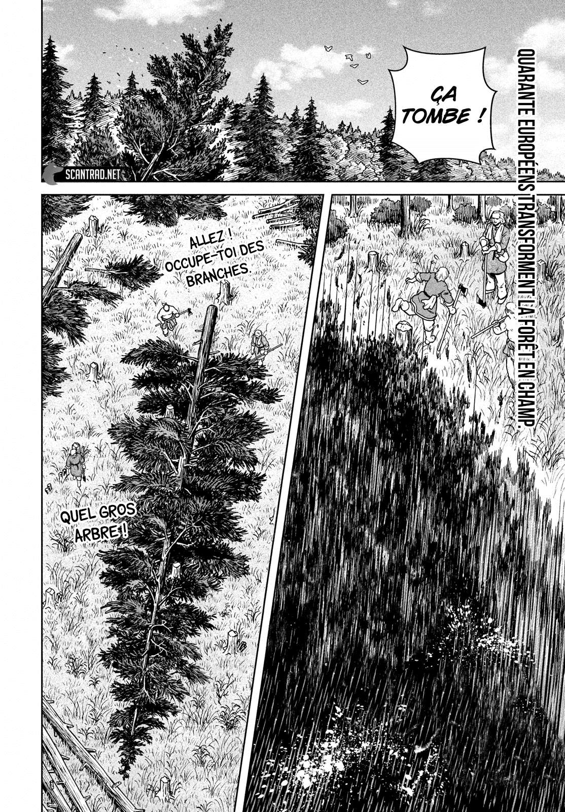 Read Vinland Saga vf Manga Online