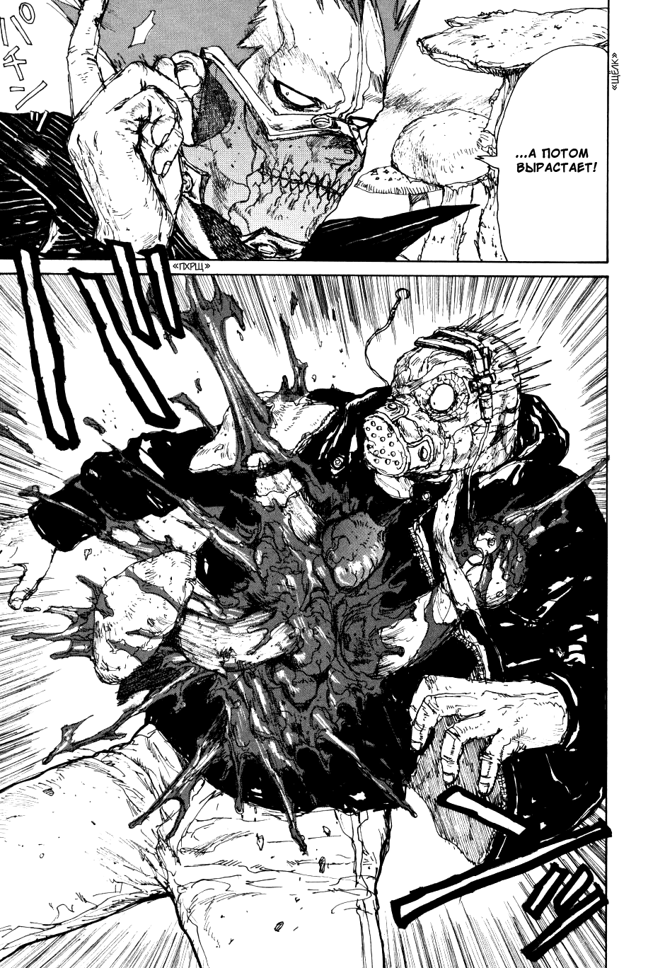 Read Дорохедоро манга читать онлайн Manga Online