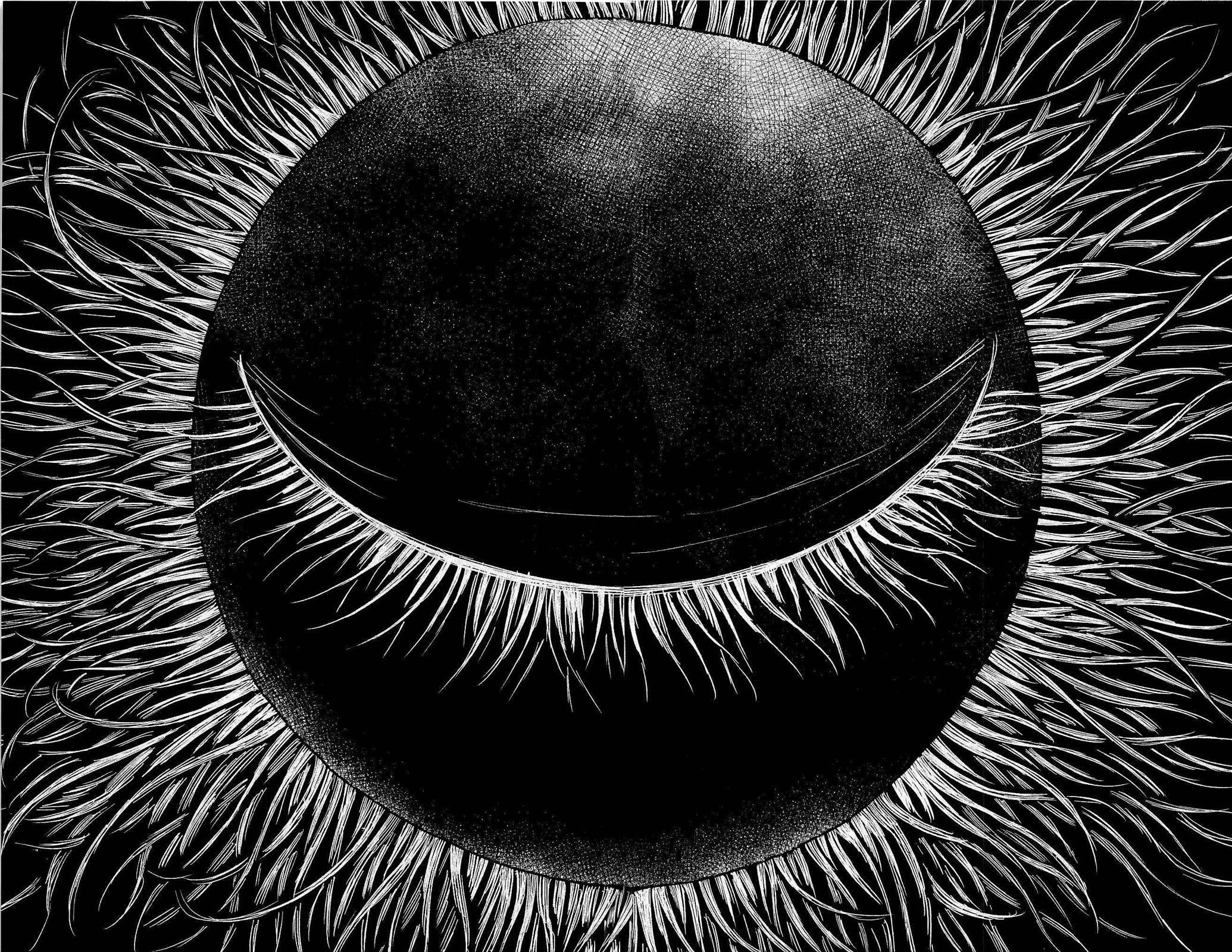 Read Цветы зла манга читать онлайн — Все главы Aku no Hana на русском Manga Online